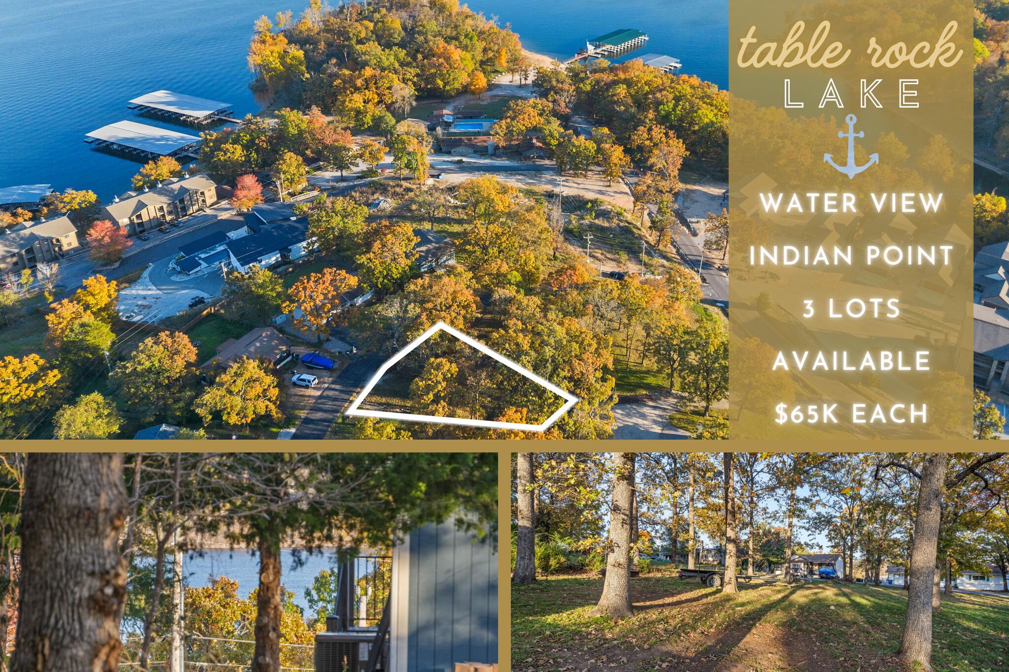 Lot 54 Locust 1