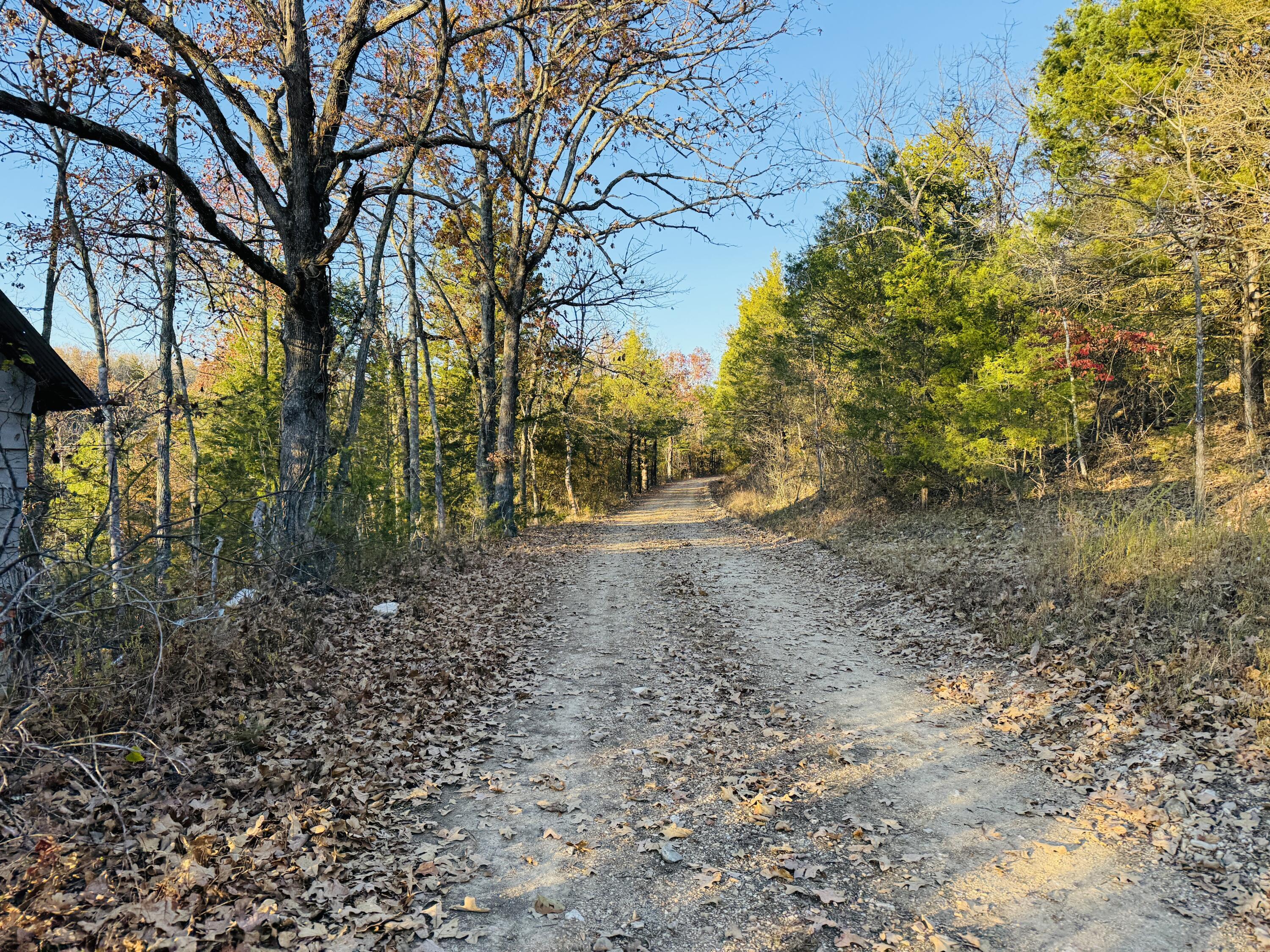 000 County Road 871 1