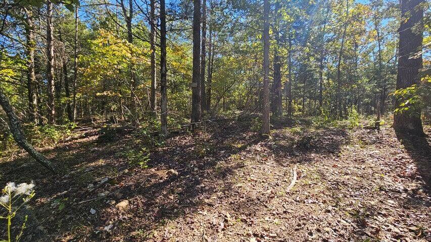 000 Rolling Hills Block 11 Lot 22 1