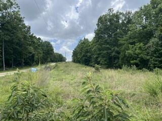 2371 County Road 359 1