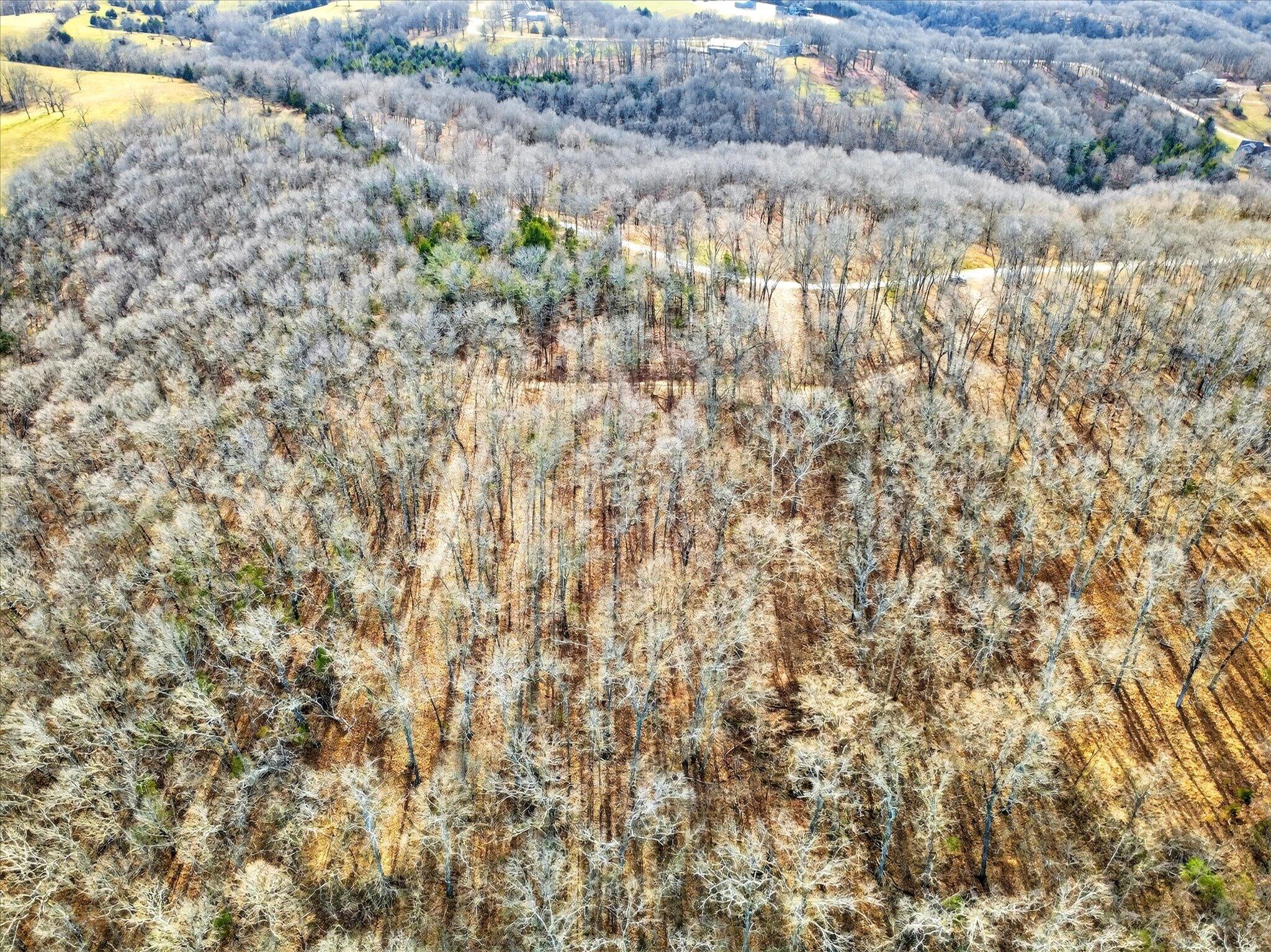 000 Regal Heights #Lot 32 1