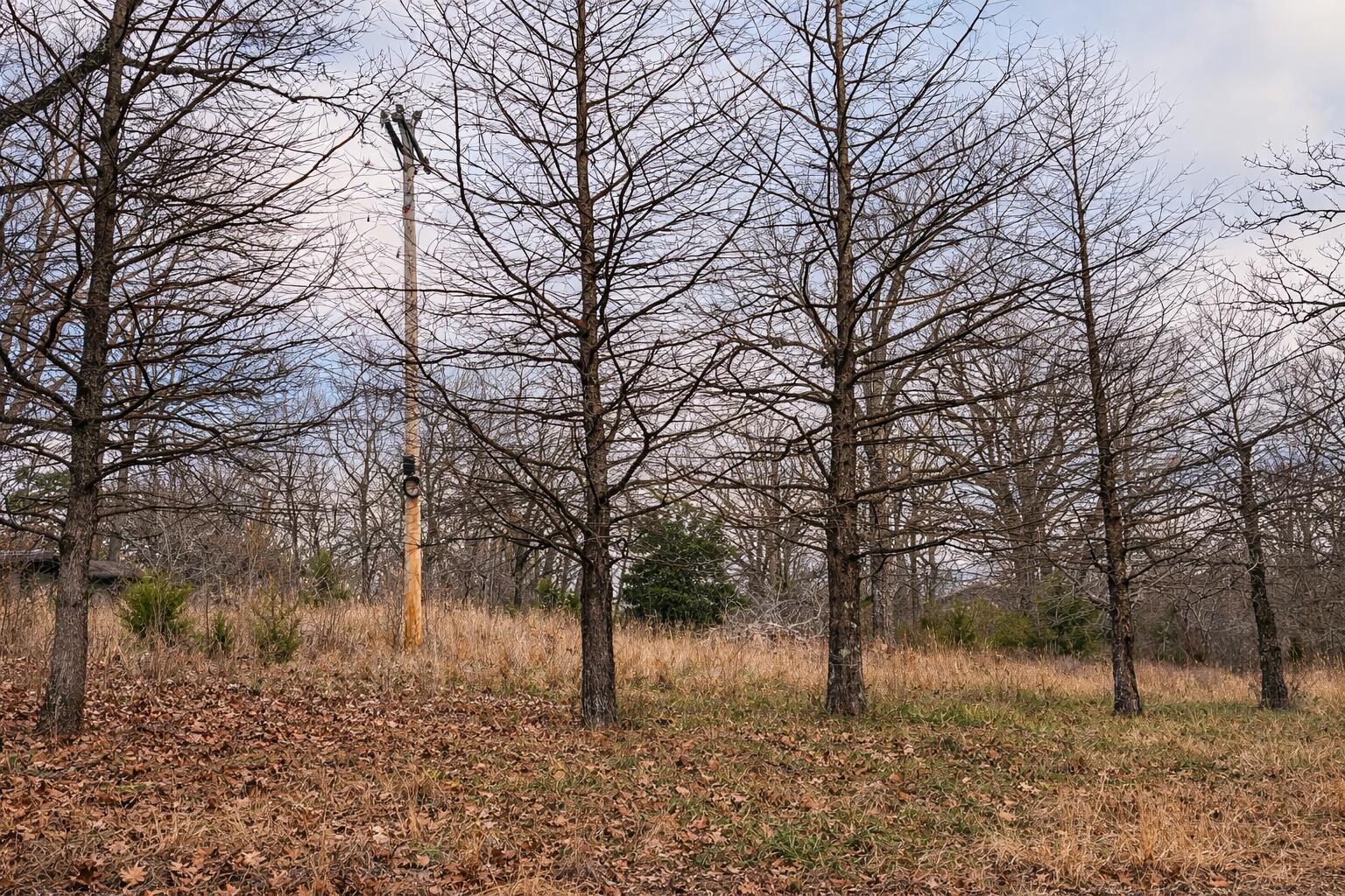 000 Acres Road 1