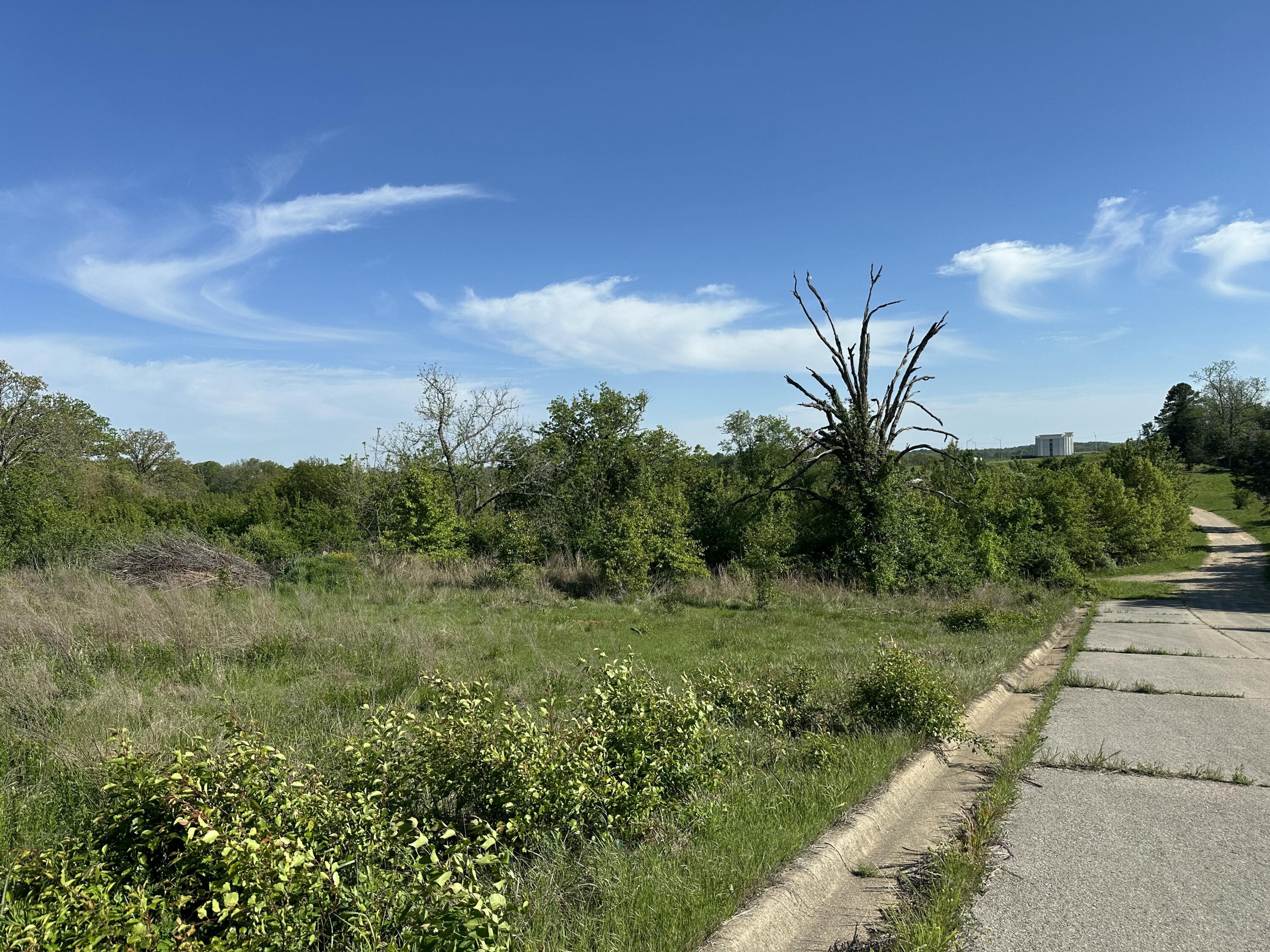 000 Bear Valley Drive 1