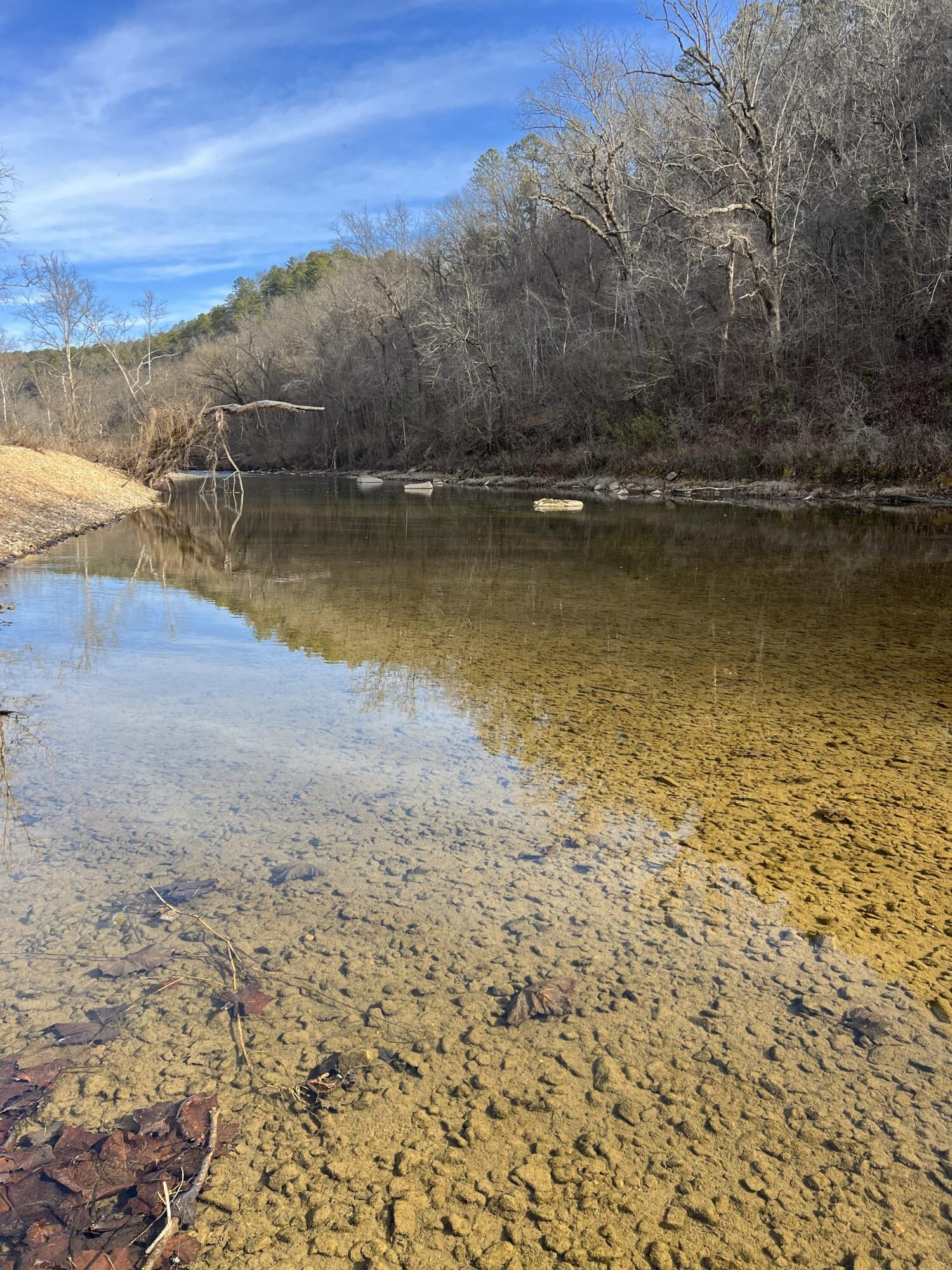 000 County Road 169 1