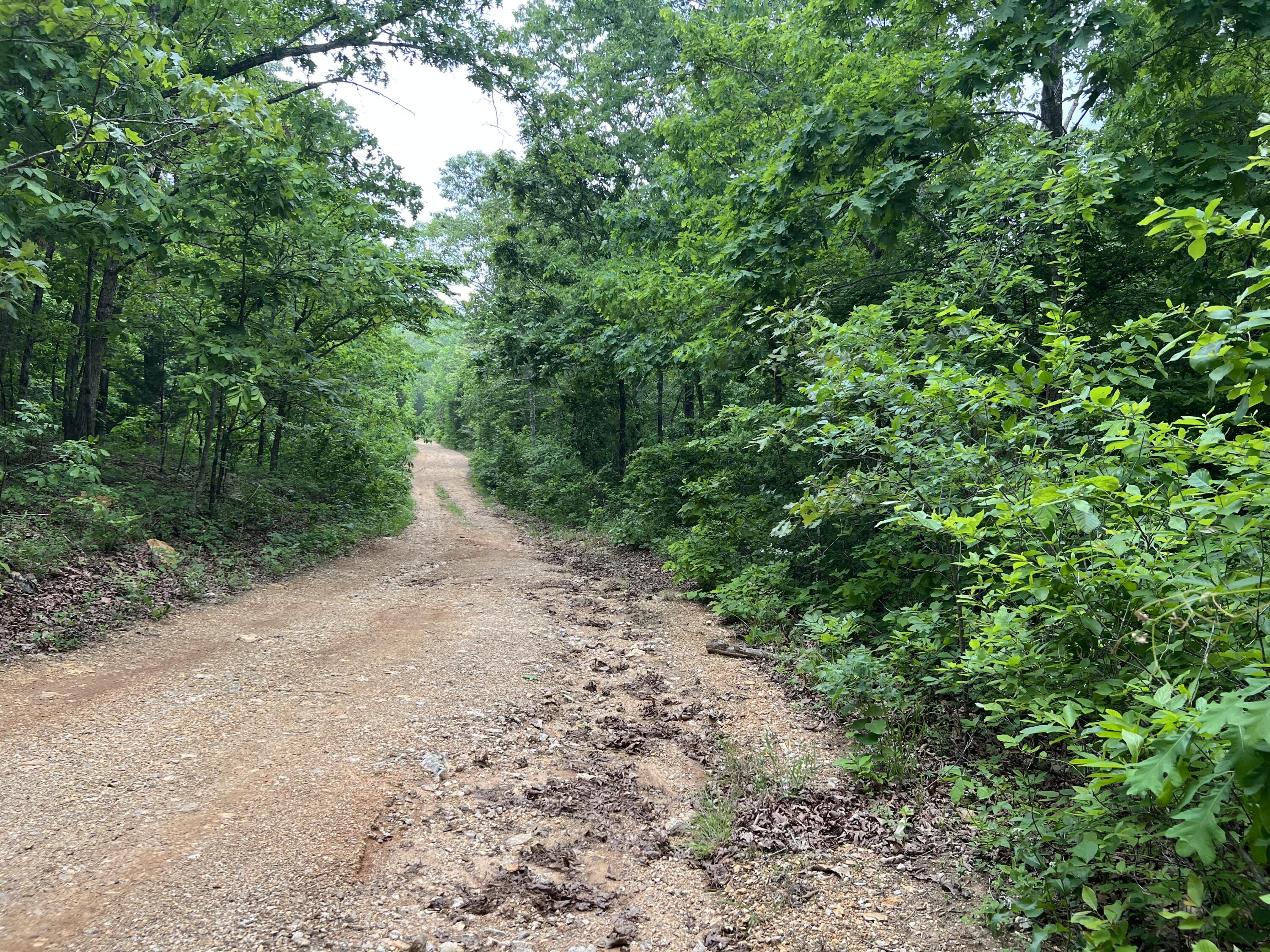 000 Lot 7 Tall Oaks Trail 1