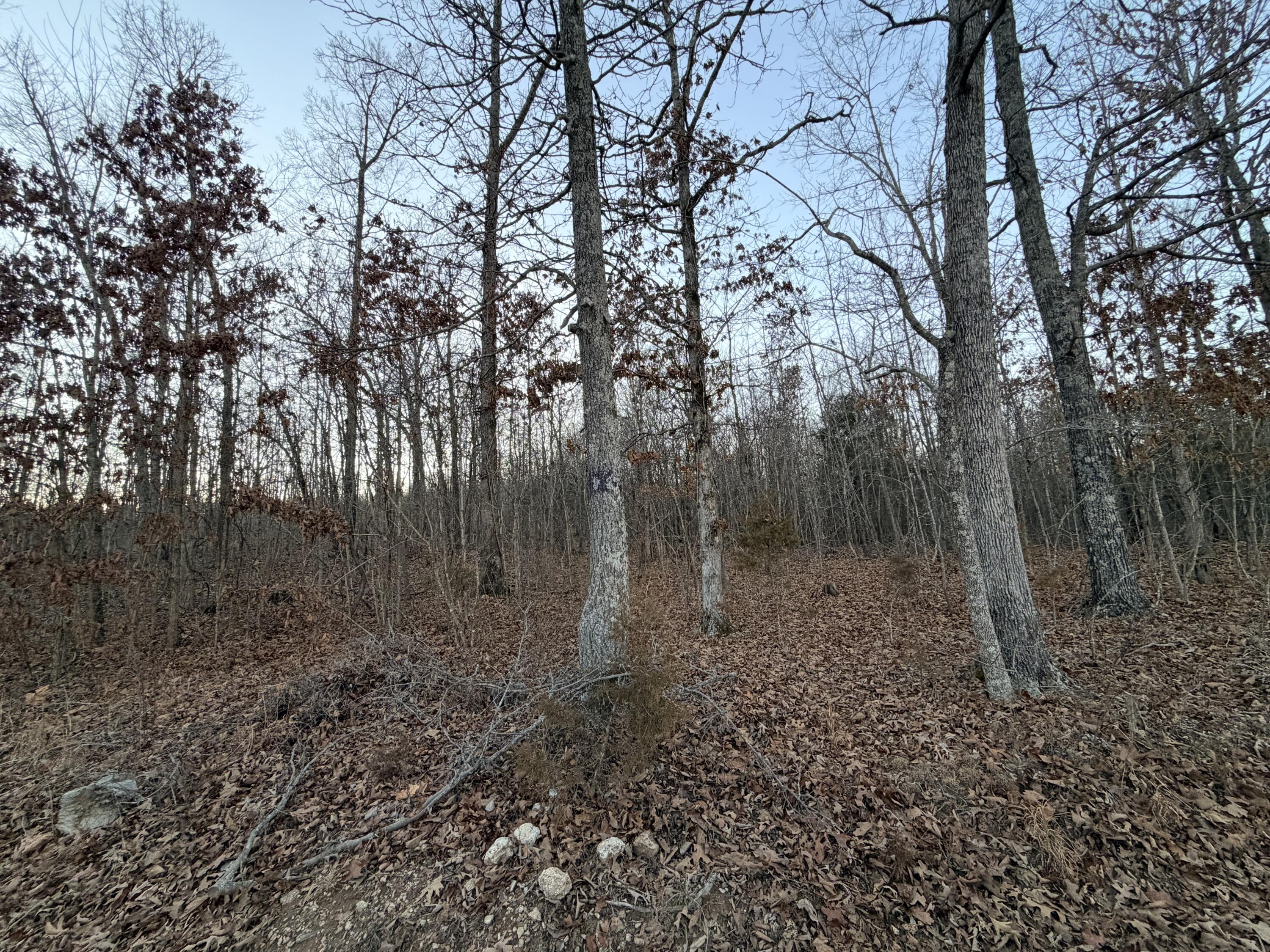 000 County Road 204 1
