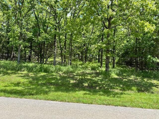 323 West Green Valley Drive 1