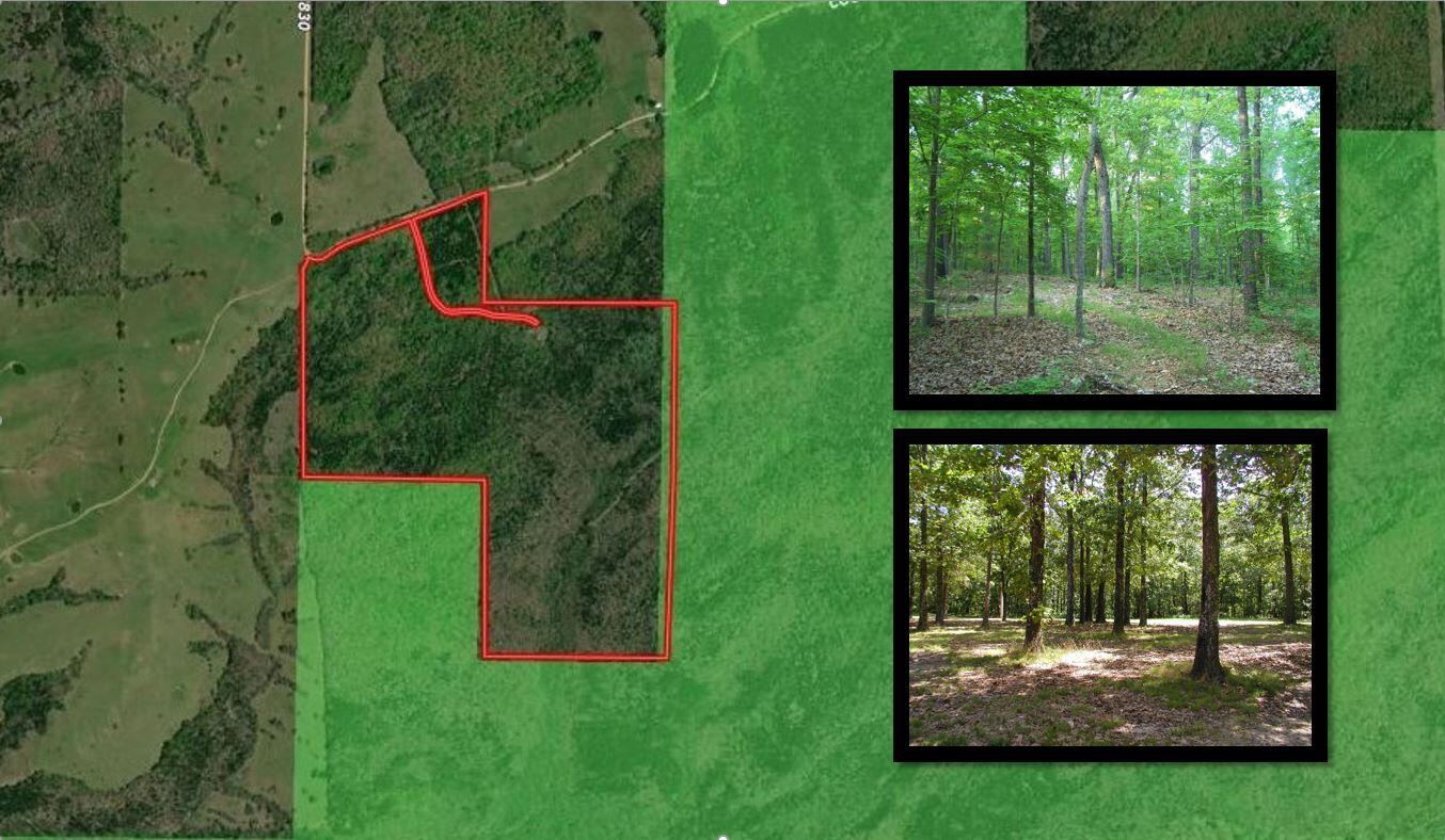 000 County Road 830 1