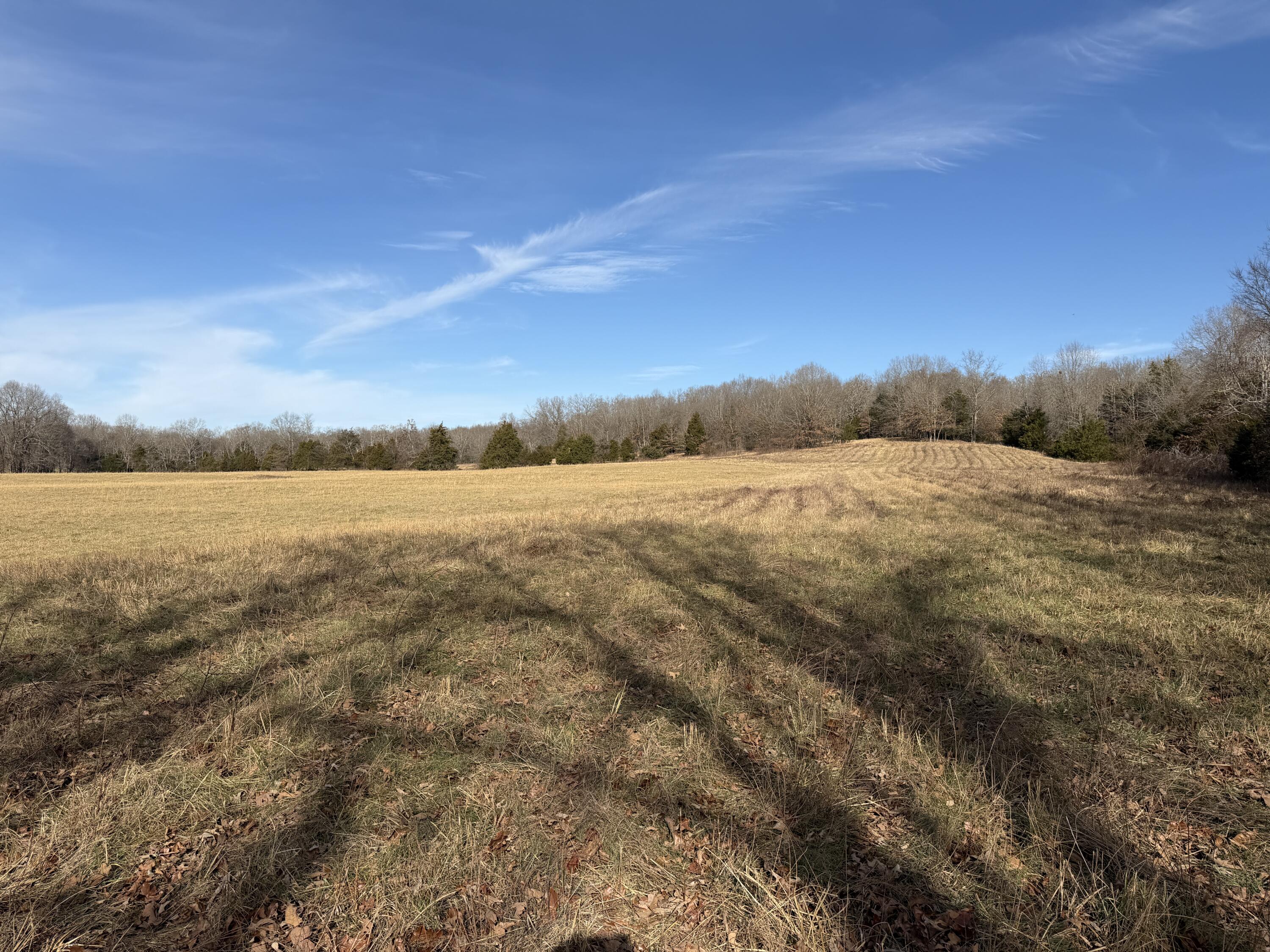 000 County Rd 328 1