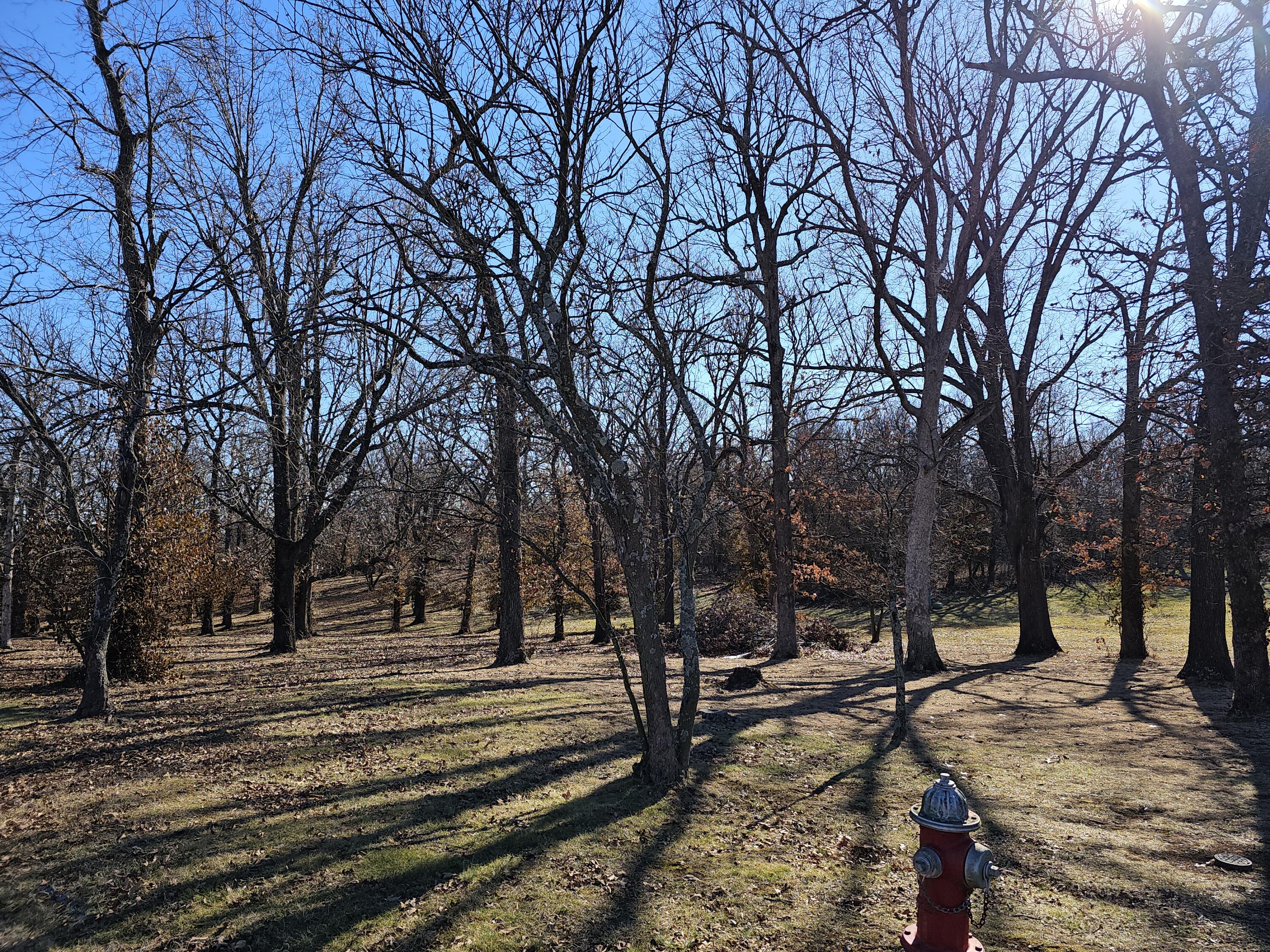 000 Redbud Place 1