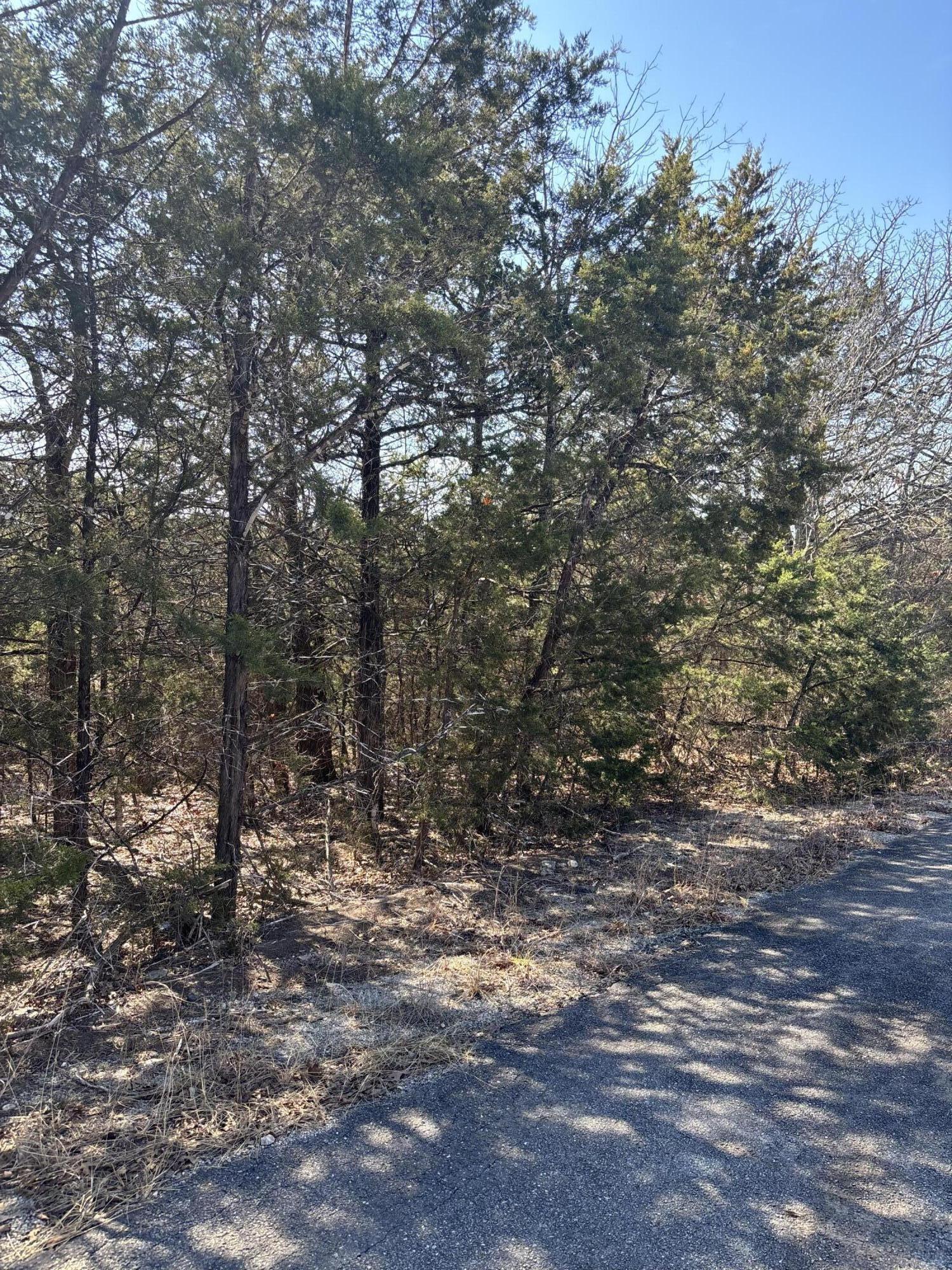 Tbd State Hwy Yy 1