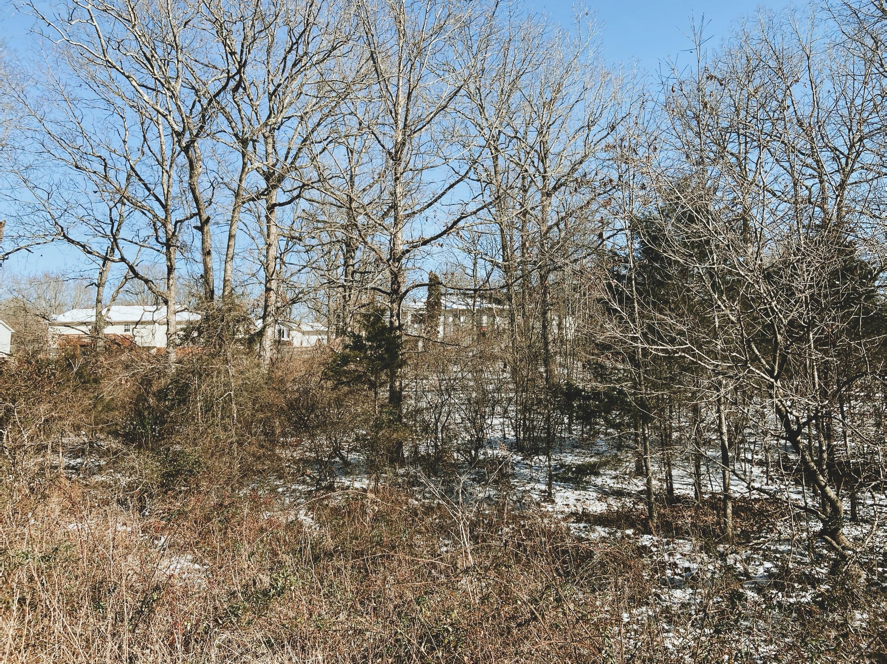 000 Ginger Drive Lot 13 1