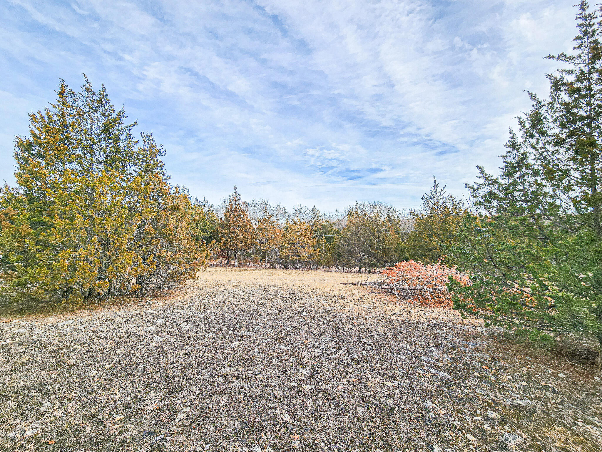 01 Tall Oaks