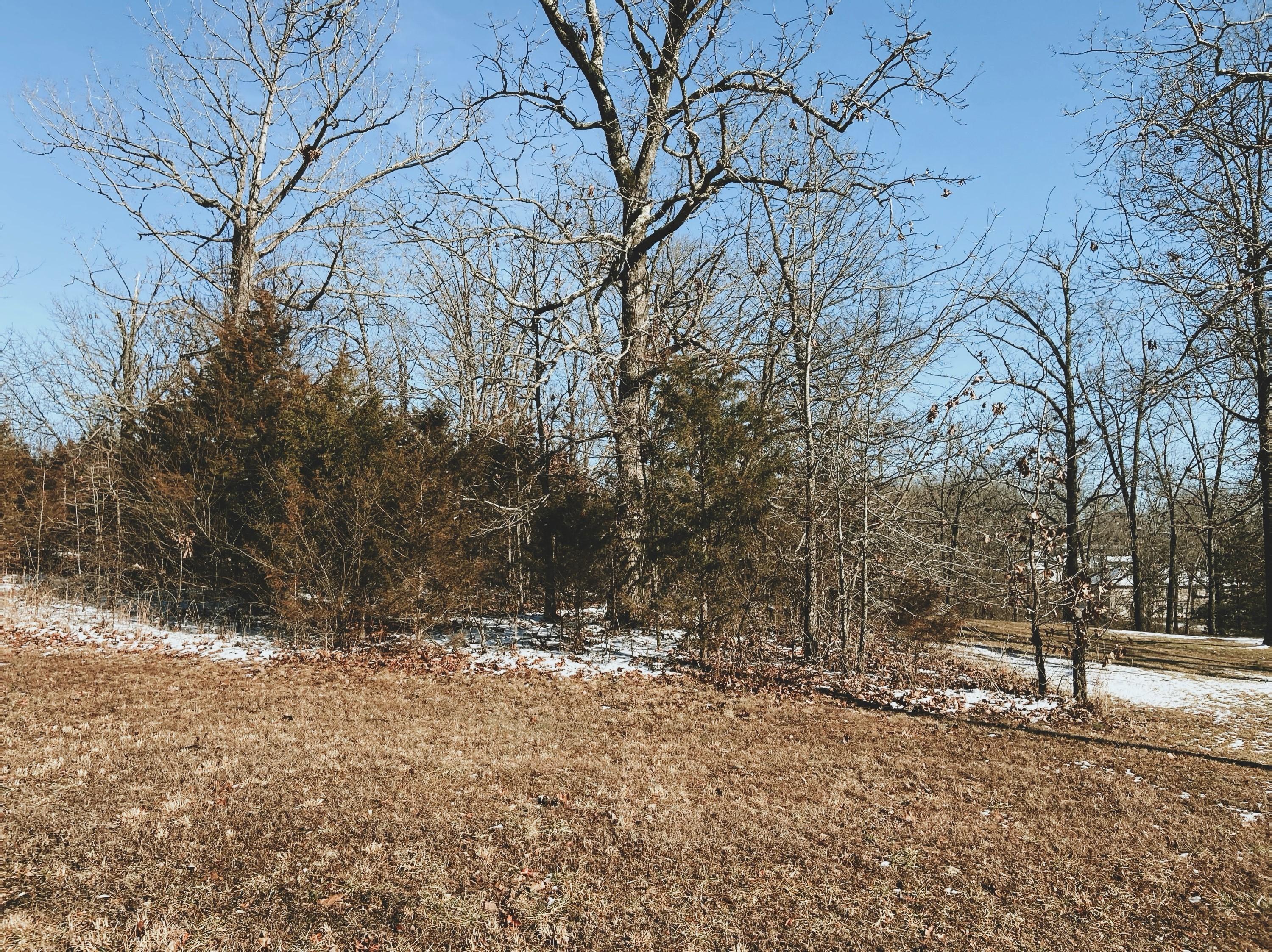 000 Rhonda Drive Lot 8 1