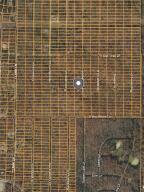 1401 Gooseberry 1