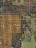 1414 Dewberry 1