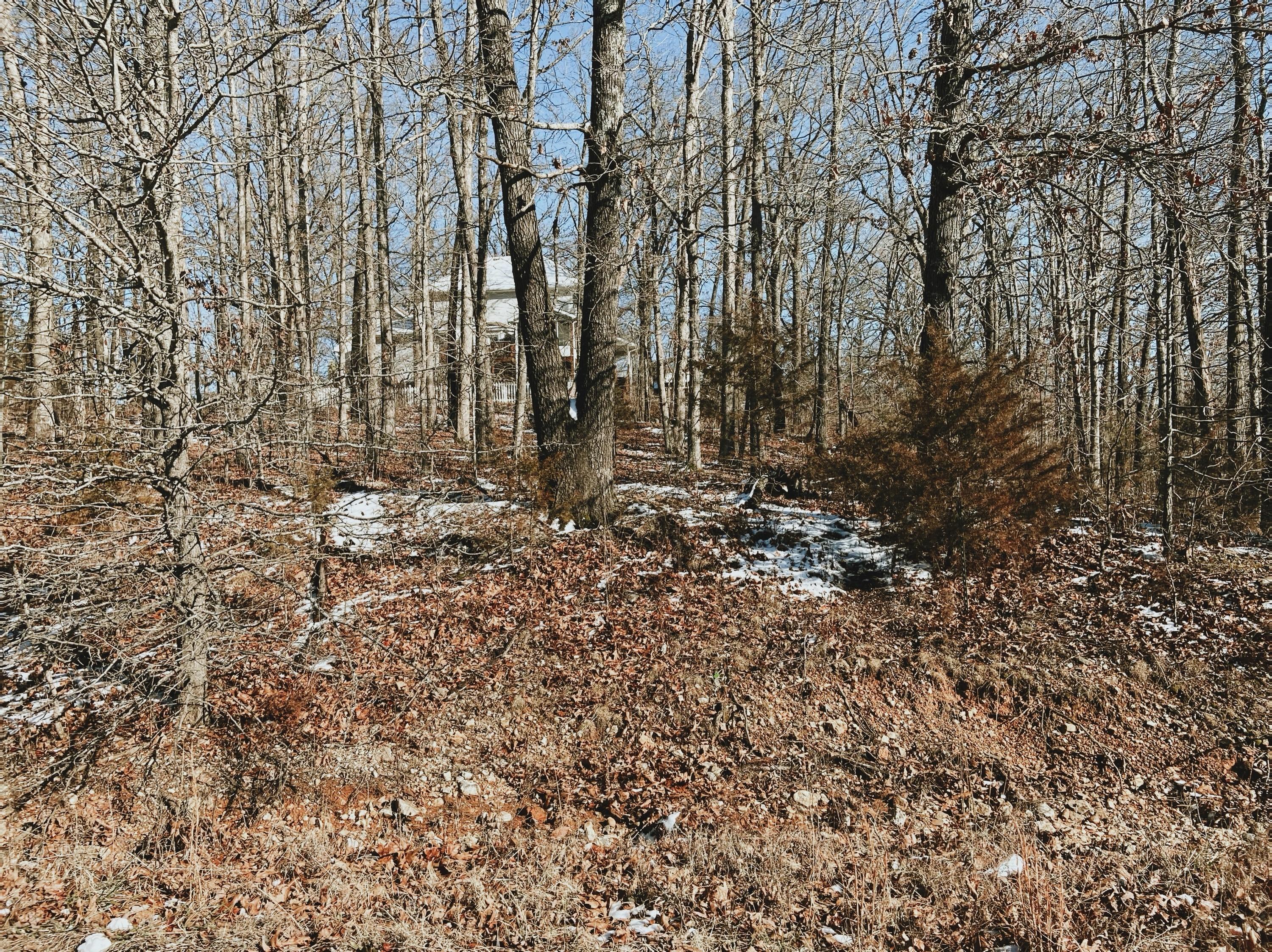 000 Lot 2 Block 13 Morrison Sub 1