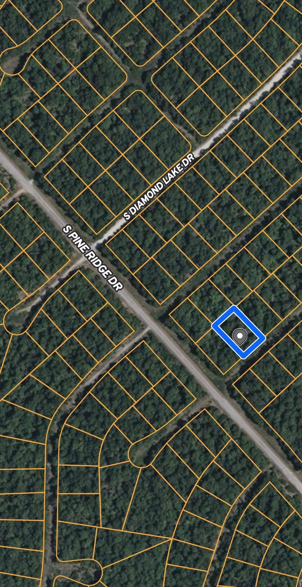 1711 Roosevelt 1