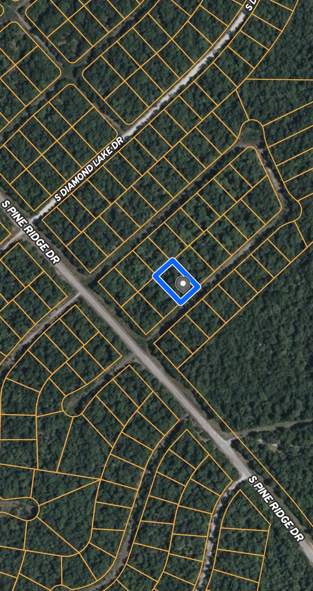 1709 Roosevelt 1
