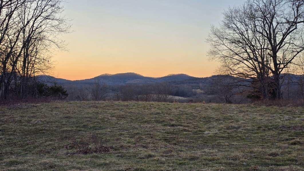 12134 State Hwy D 1