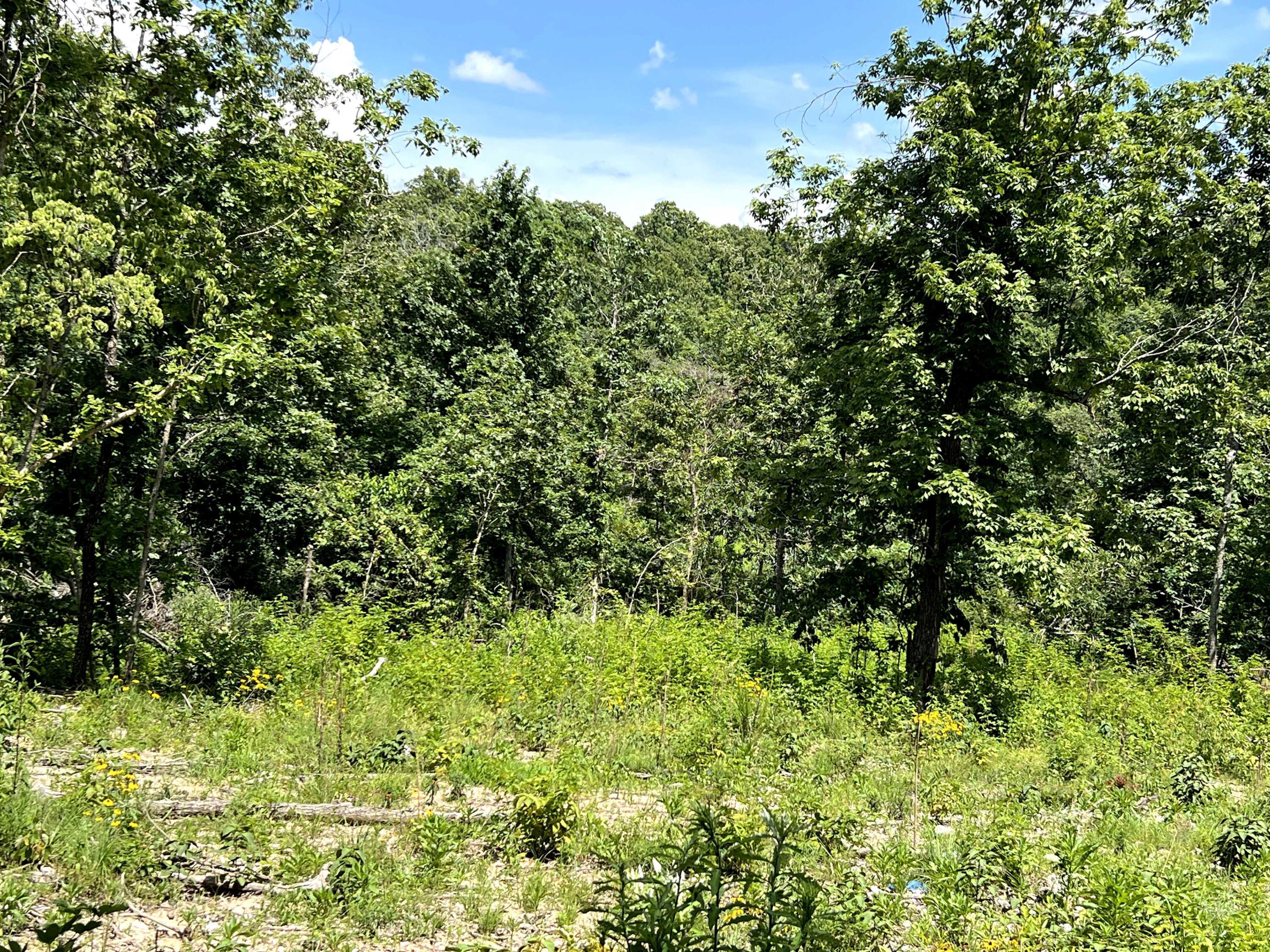 Lot 45 Private Road Ridge Haven 1