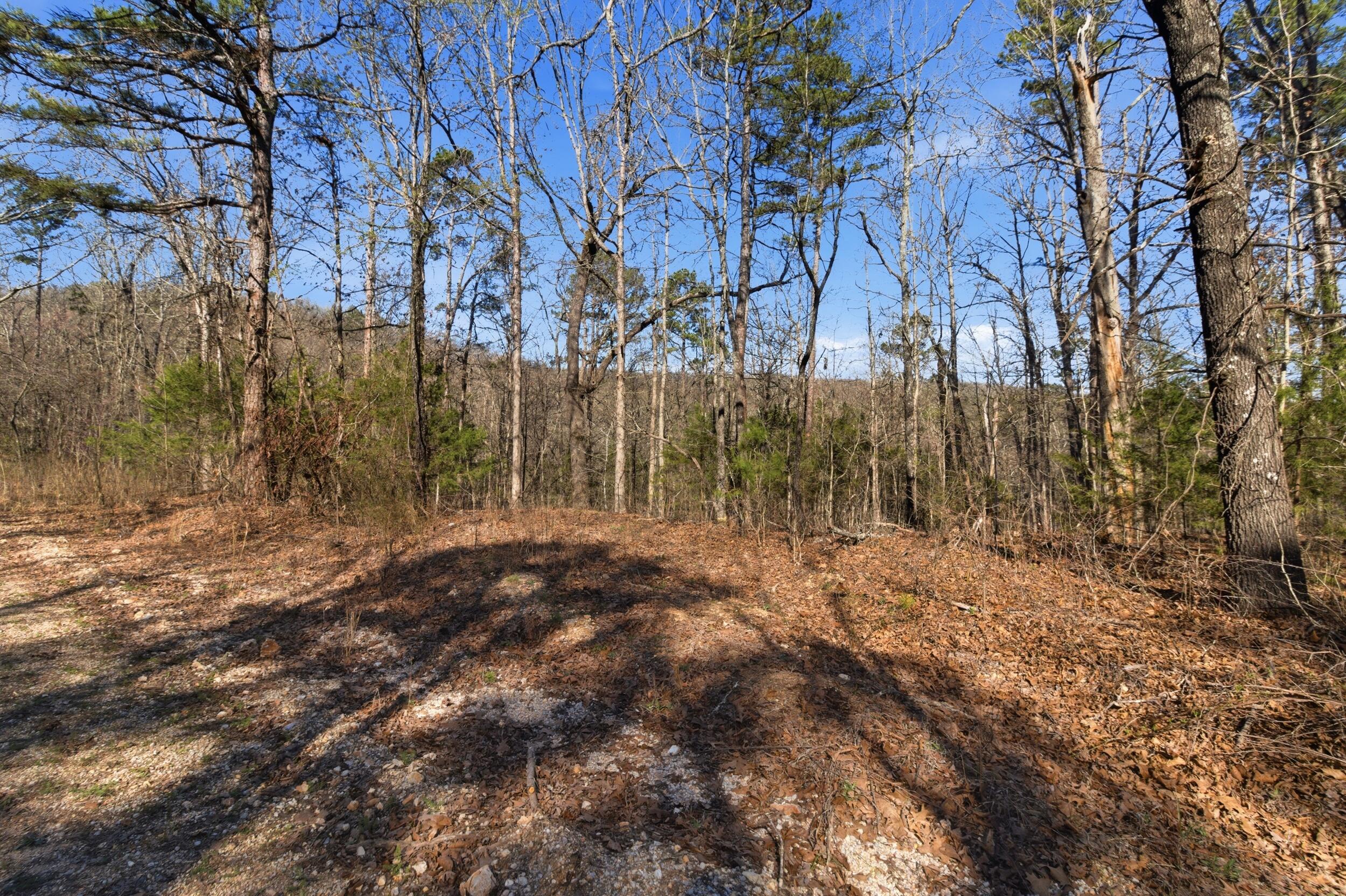 000 County Road 158 1