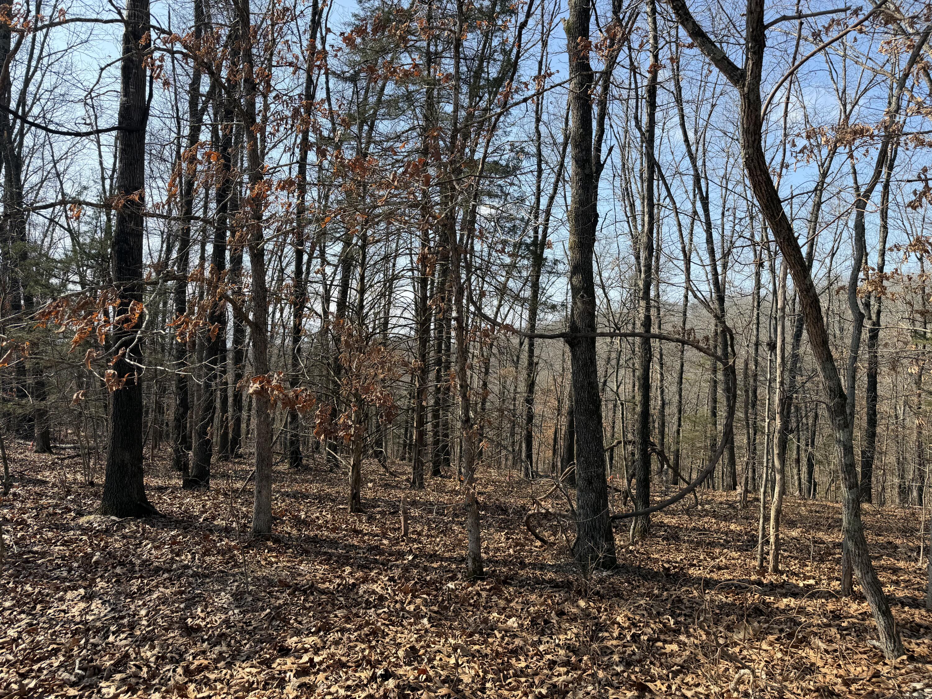 Lot 112 Walnut Springs
