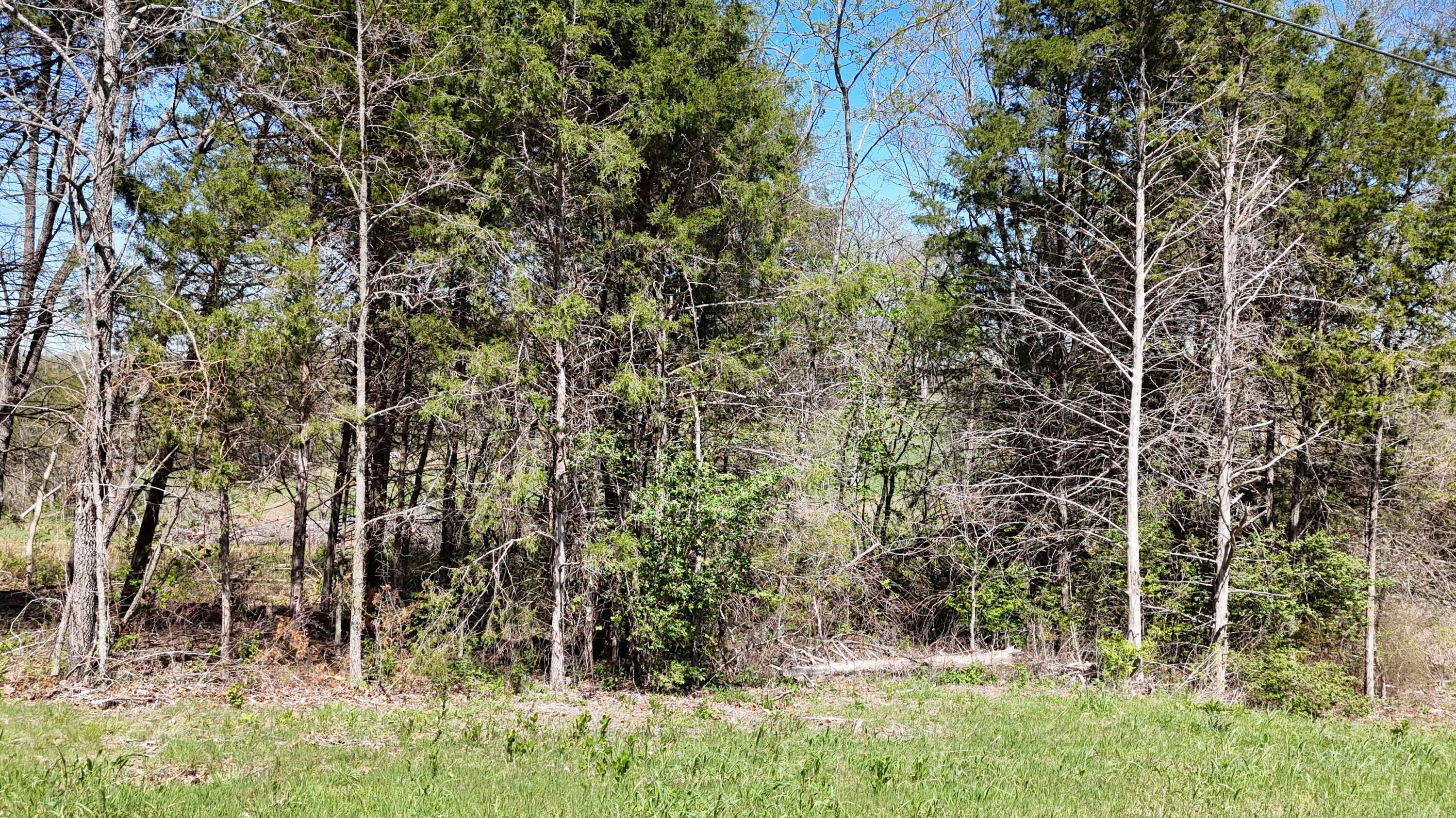 Lot #17 Farm Road 2262 1