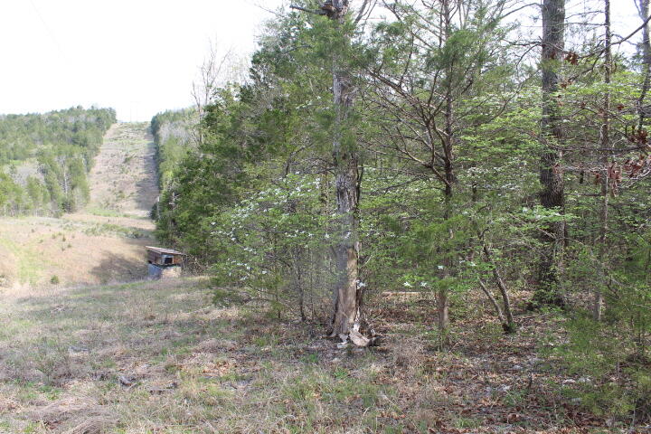 000 County Road 831
