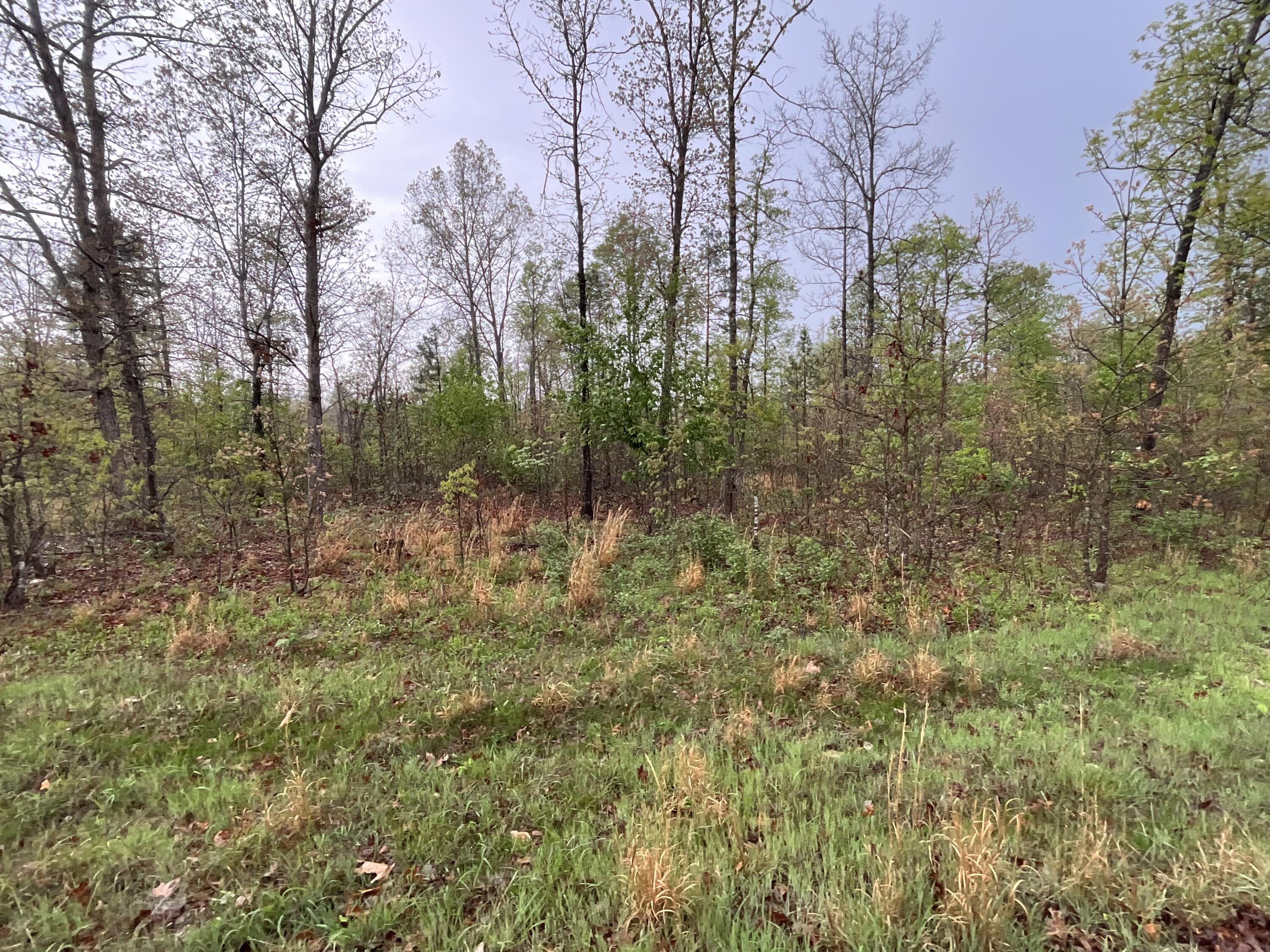 Lot 9 Lake 1