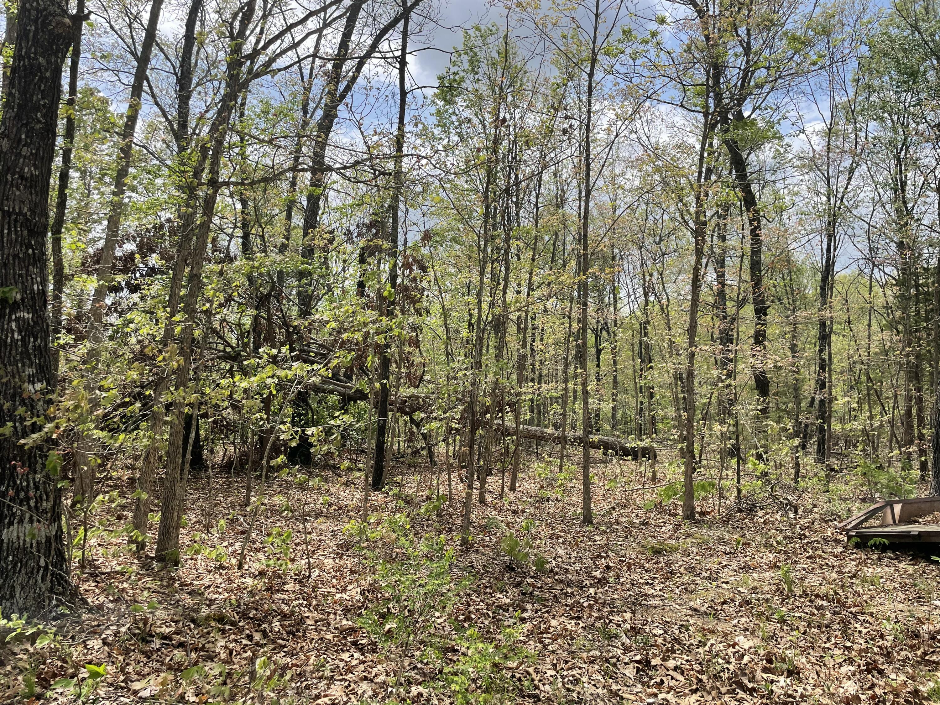 000 State Hwy N Tract B 1