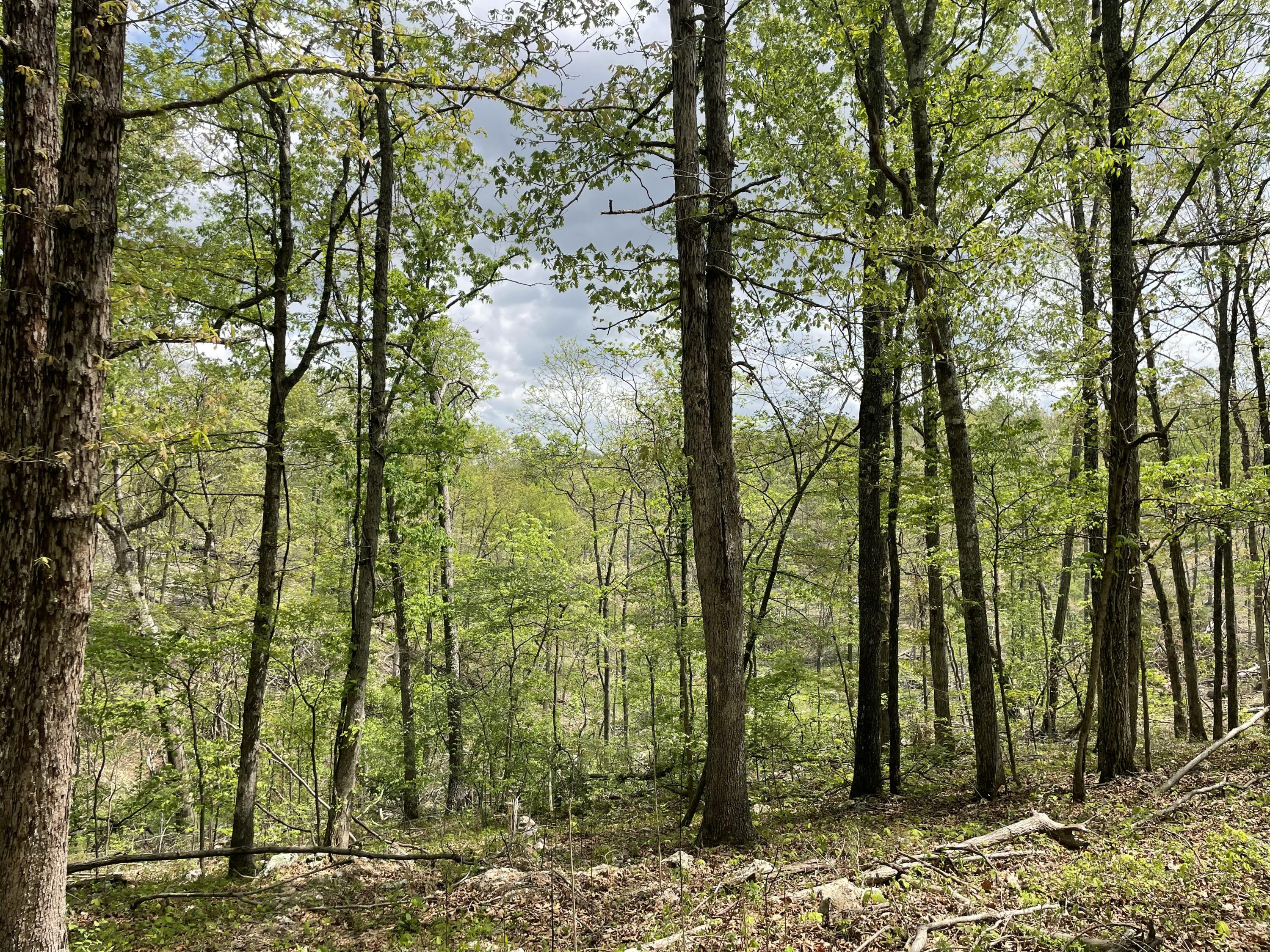 000 State Hwy N, Tract C 1