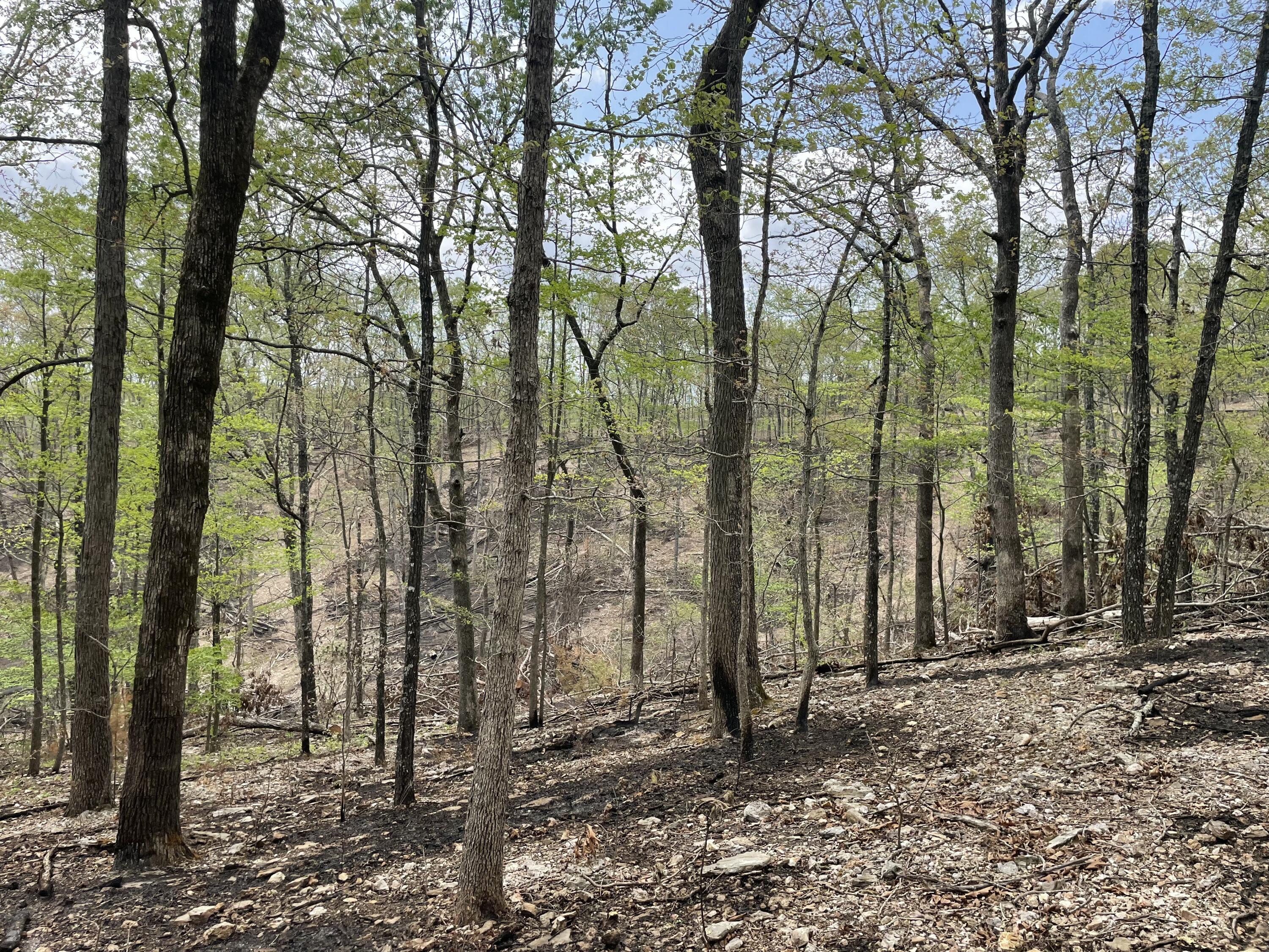 000 St. Hwy N Tract D 1