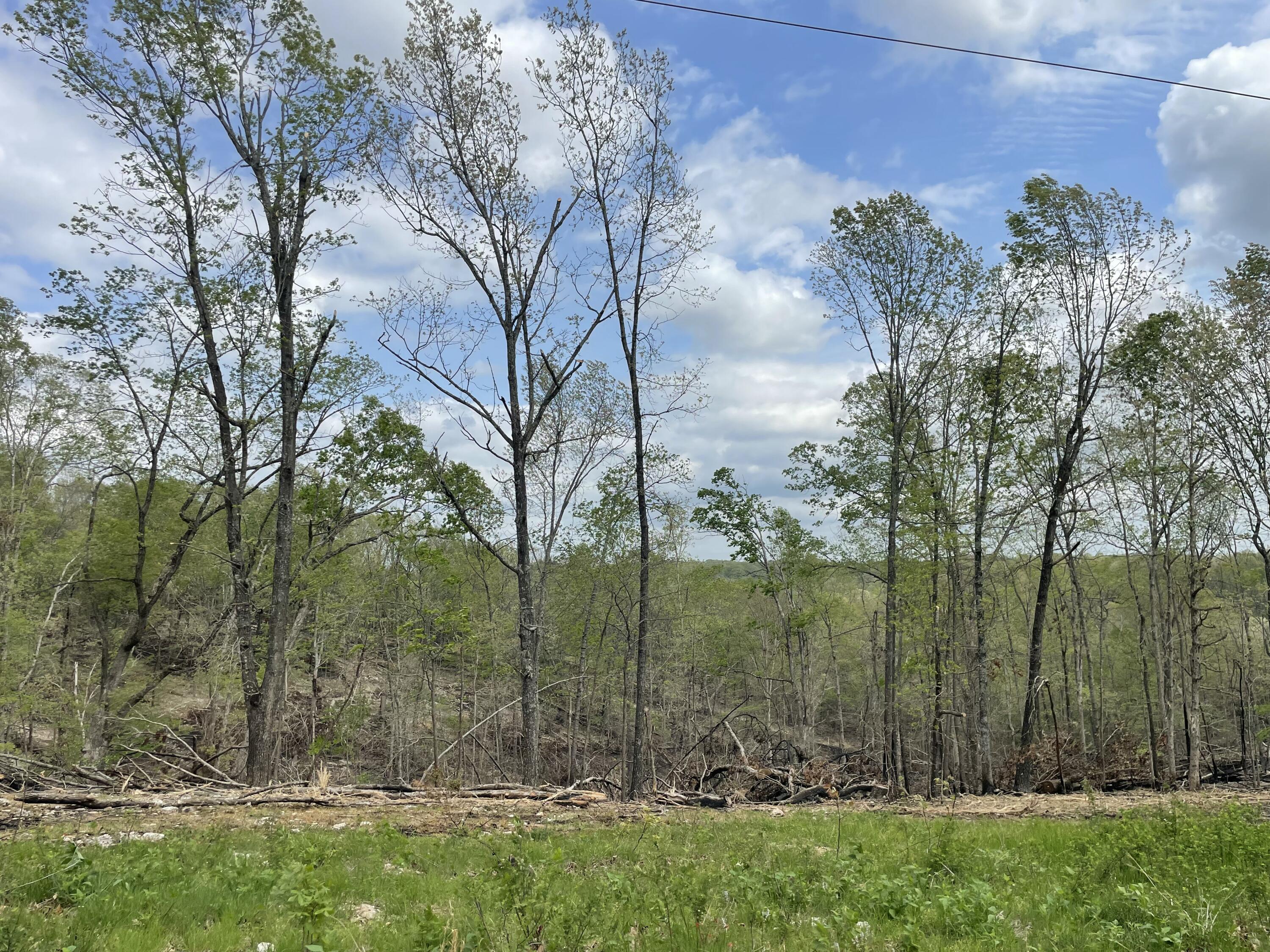 000 St Hwy N Tract F 1