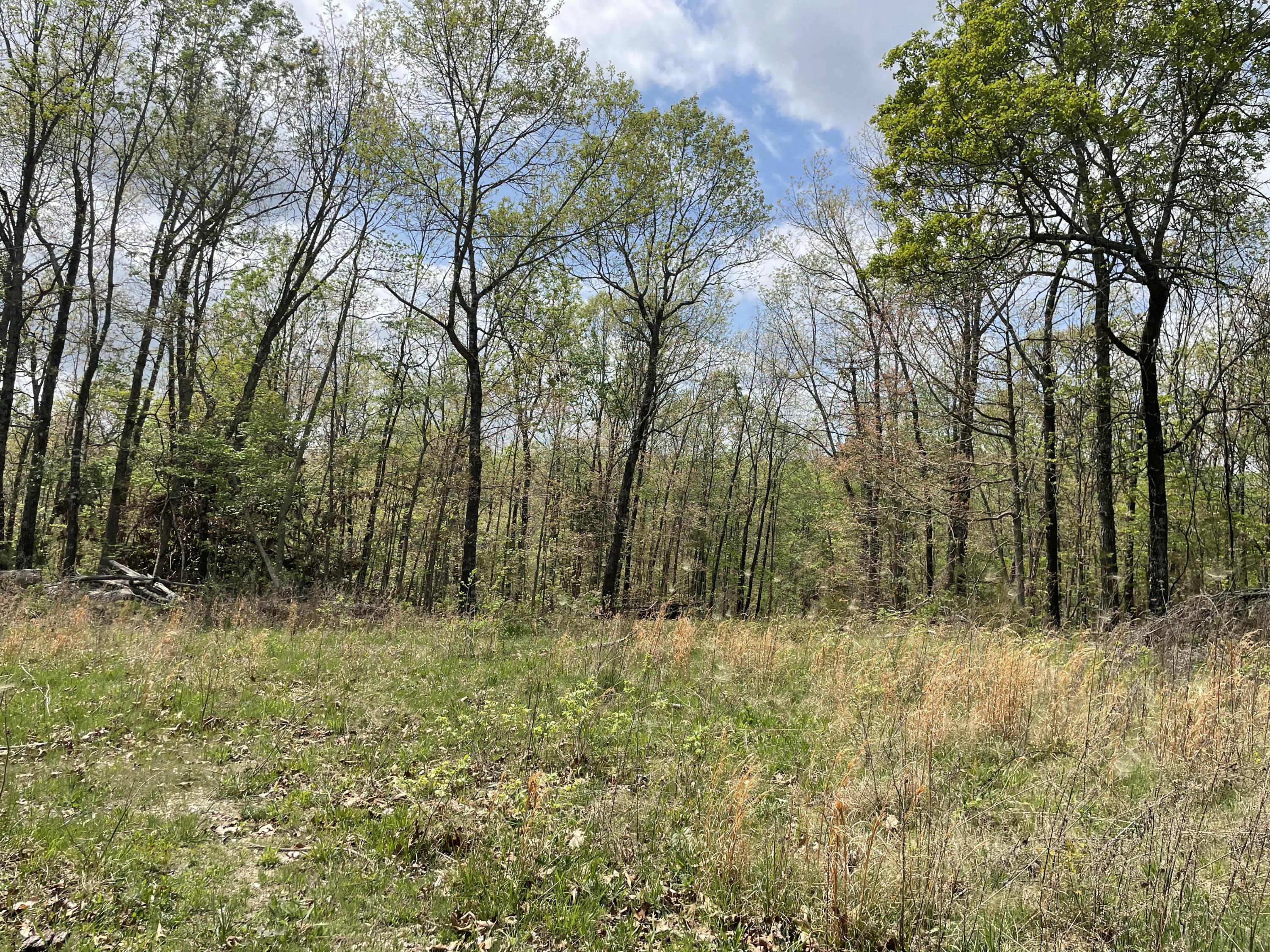 000 State Hwy N, Tract G 1