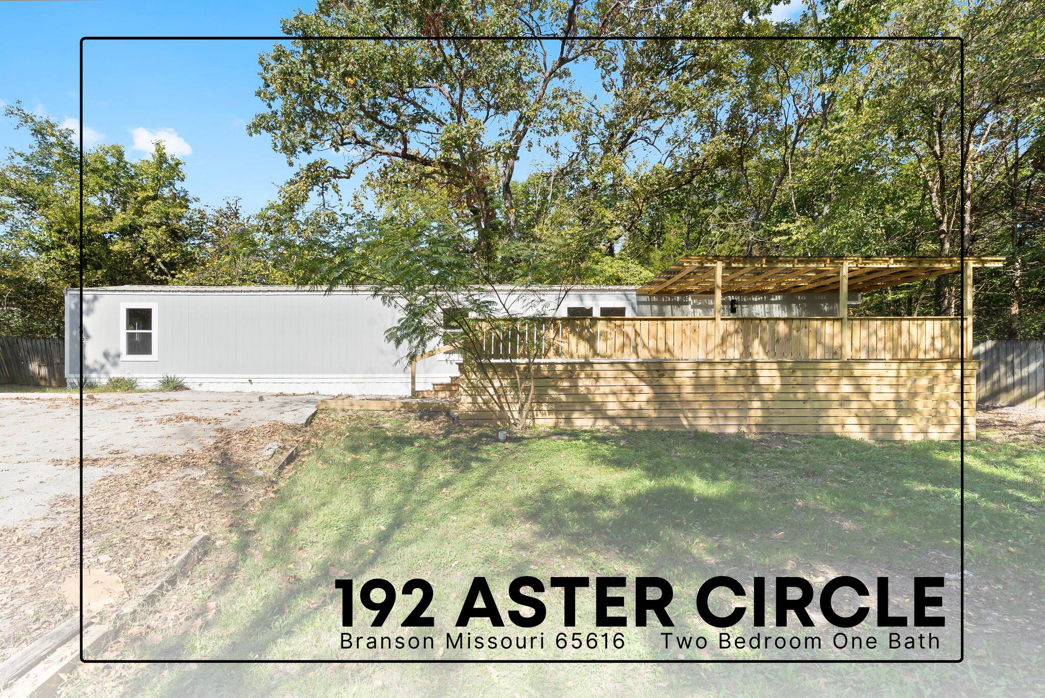 192 Aster #25 1