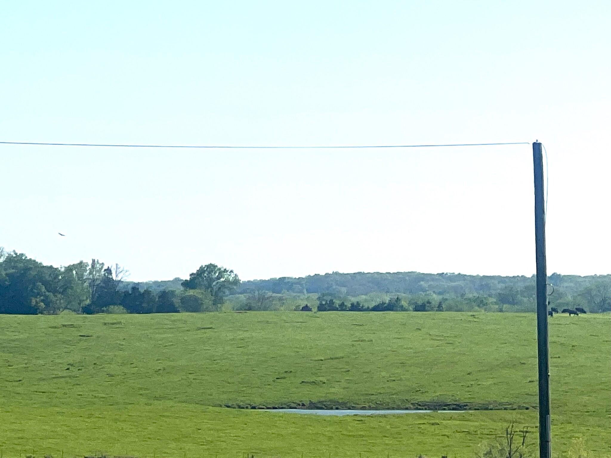 000 State Highway 65