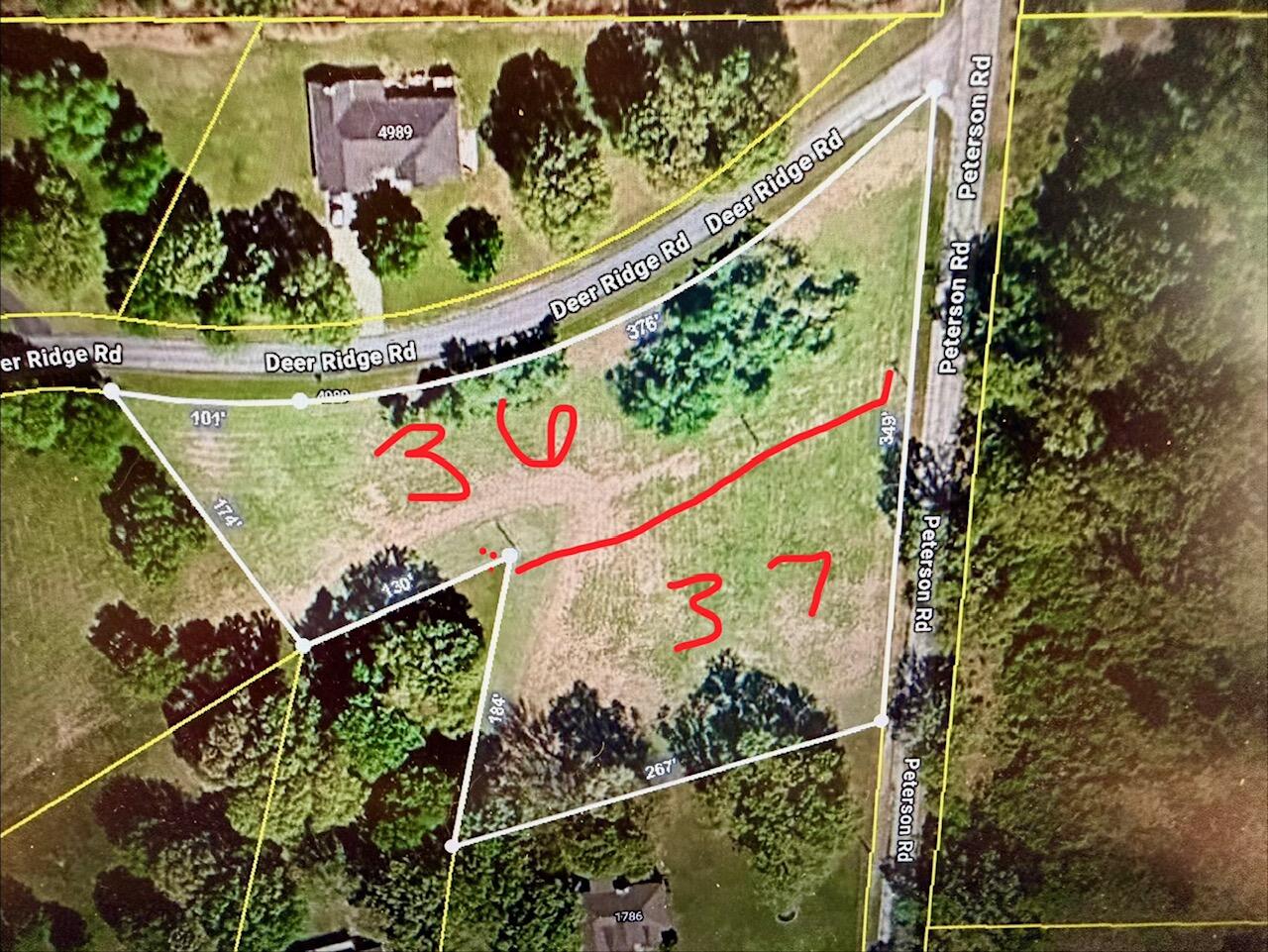 Xxx Deer Ridge 1