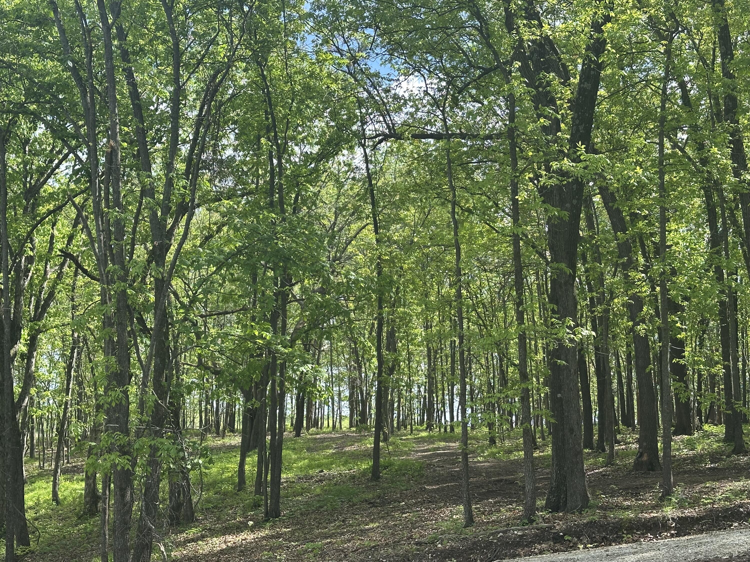 Tract 2 W Farm Road 36 1