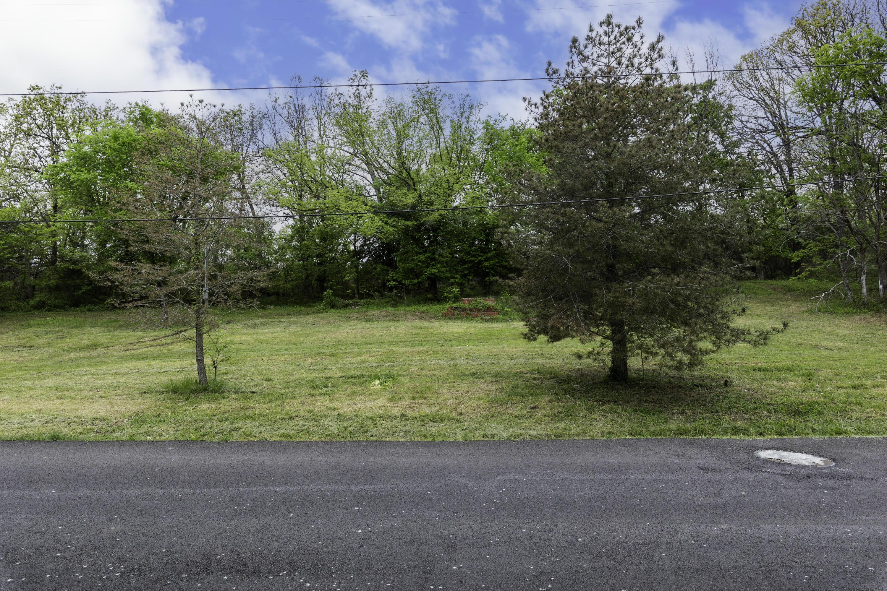 217 Woodland