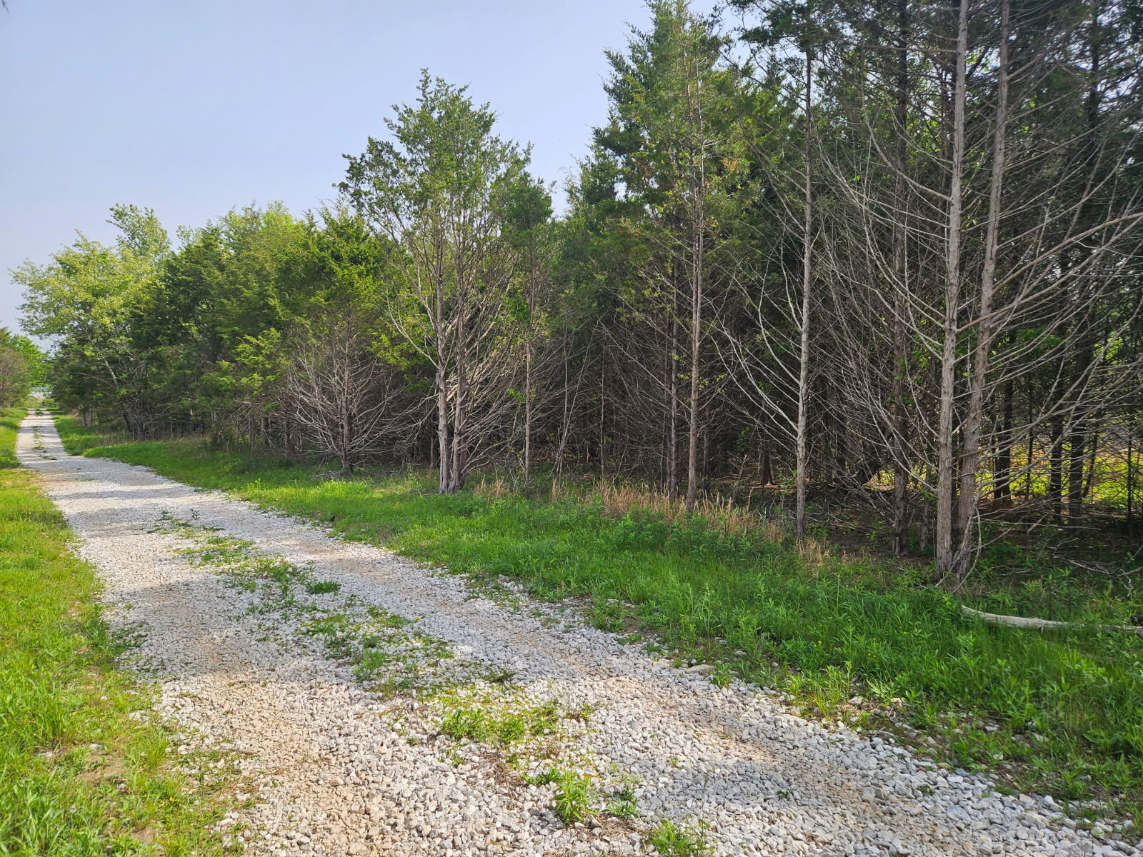 226 Lilac Tract E #Tract E 1