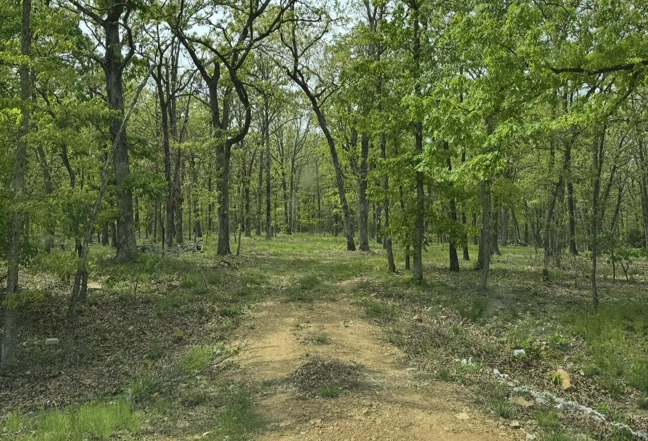 Lot 2 The Ridges, Austin 1