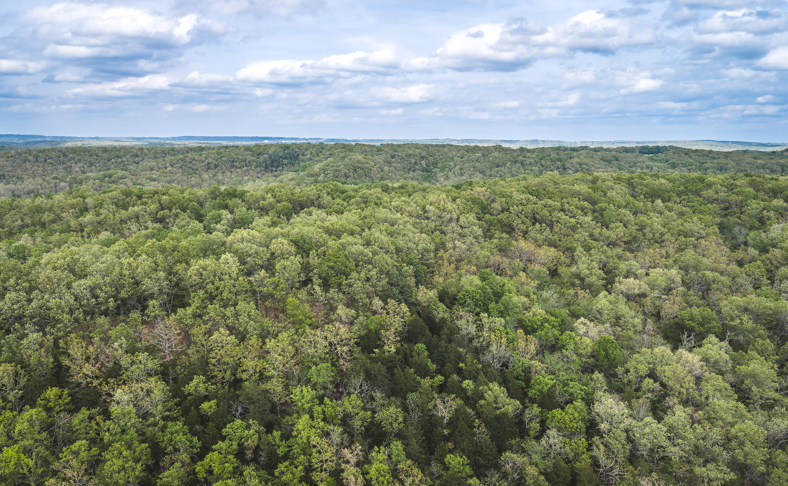 15310 County Road 7250 1