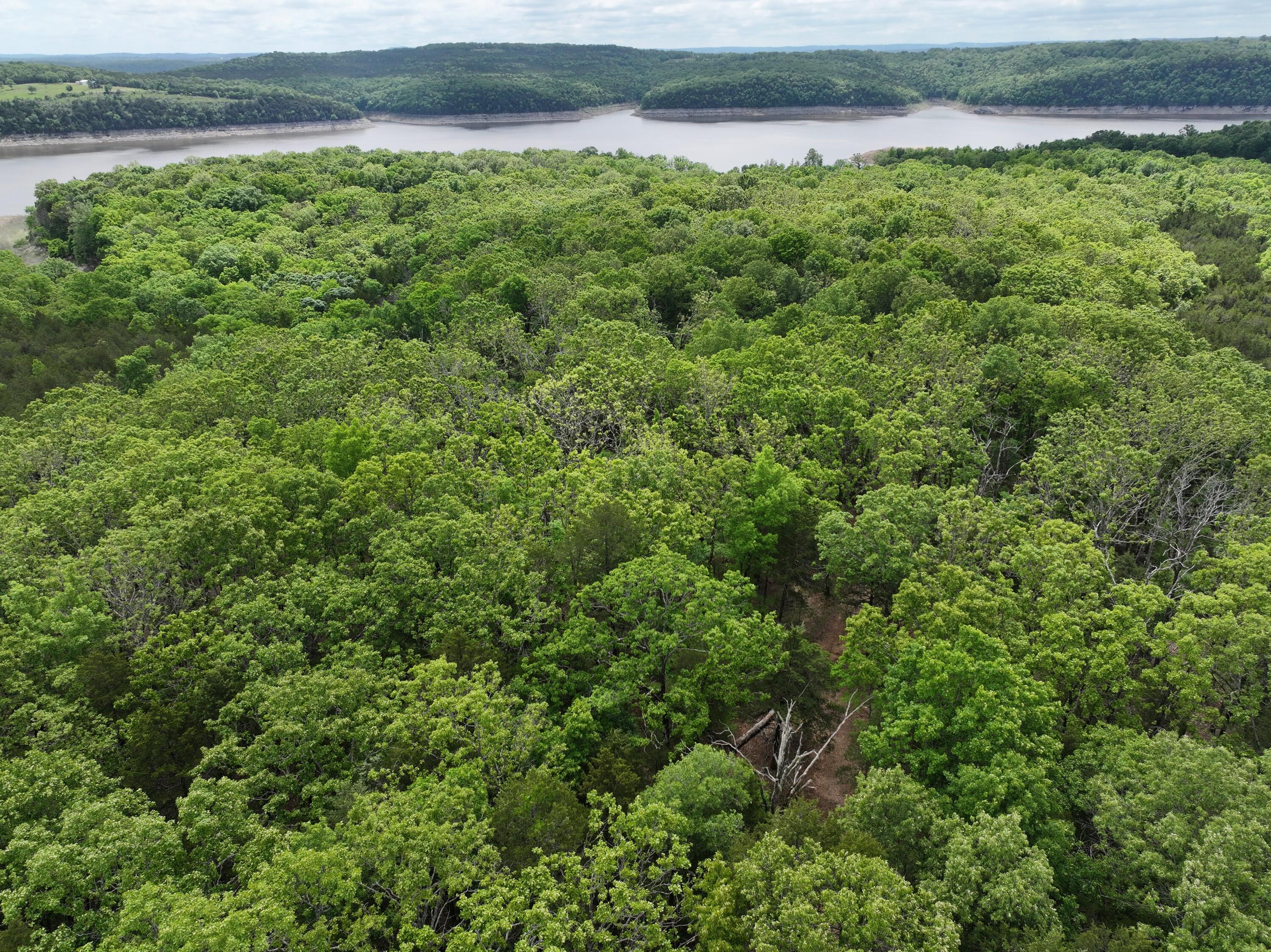 Lot 40&41 Timber Shoals Road