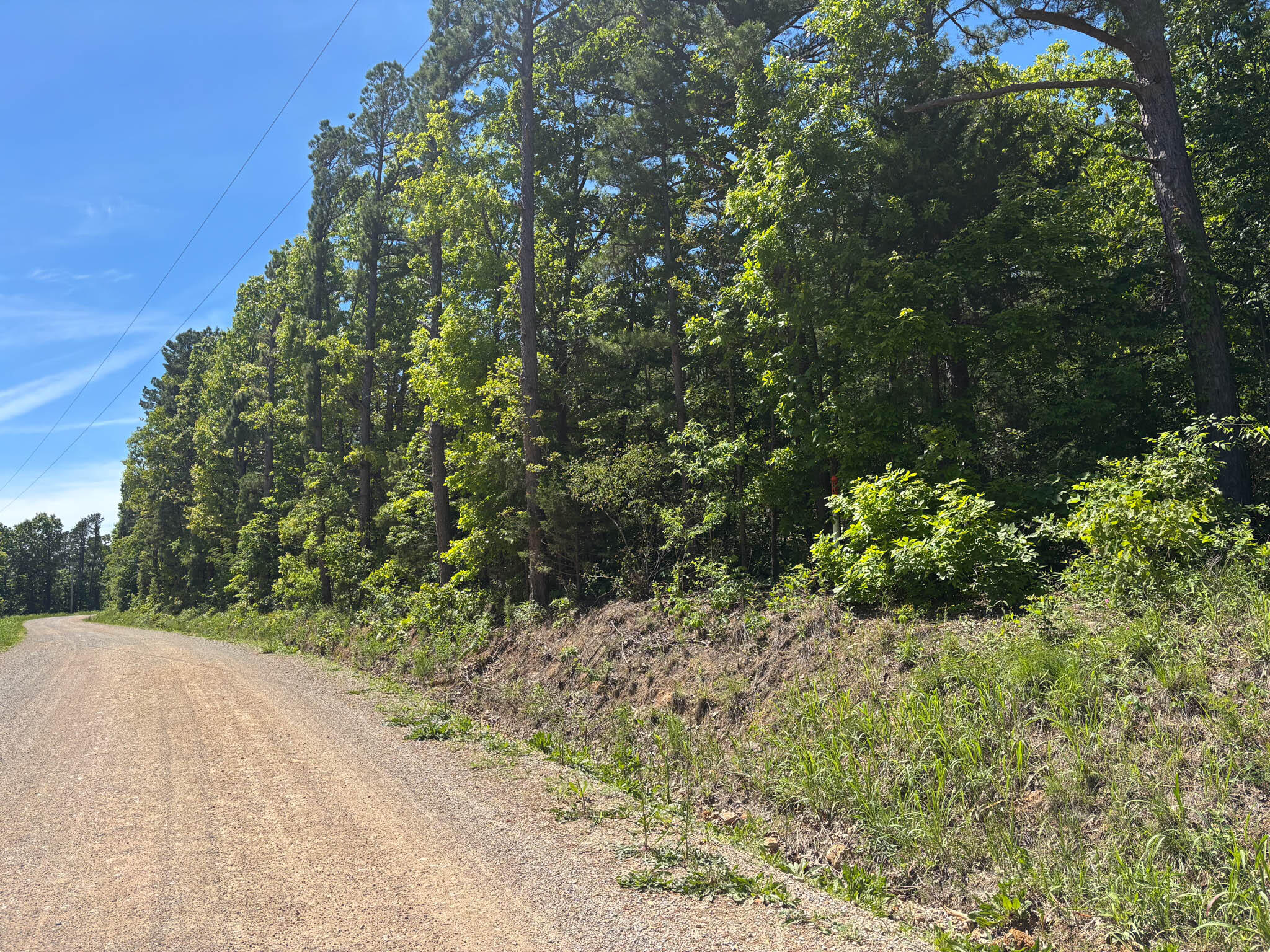 Tbd County Road 154
