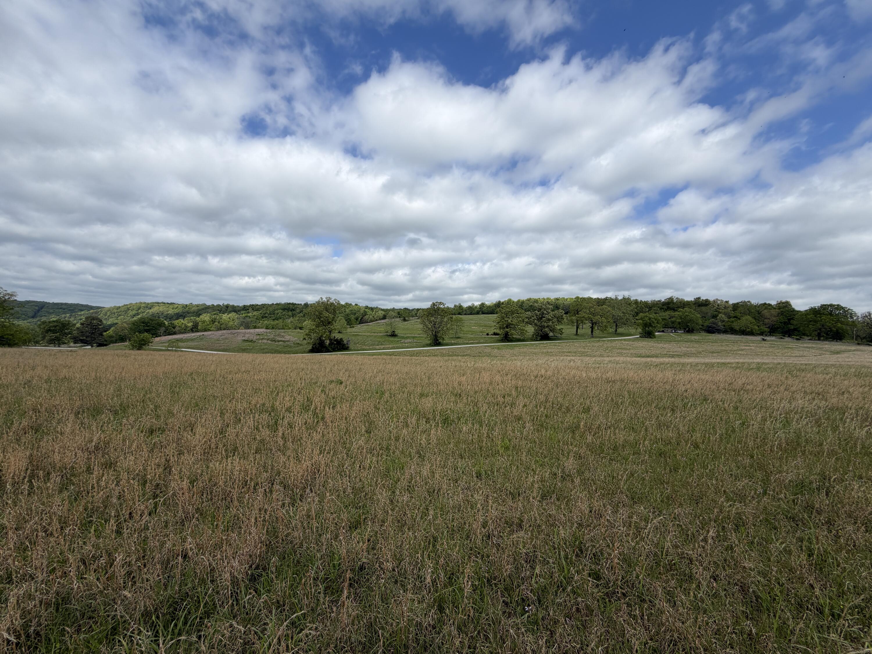 000 Northfork Village 1