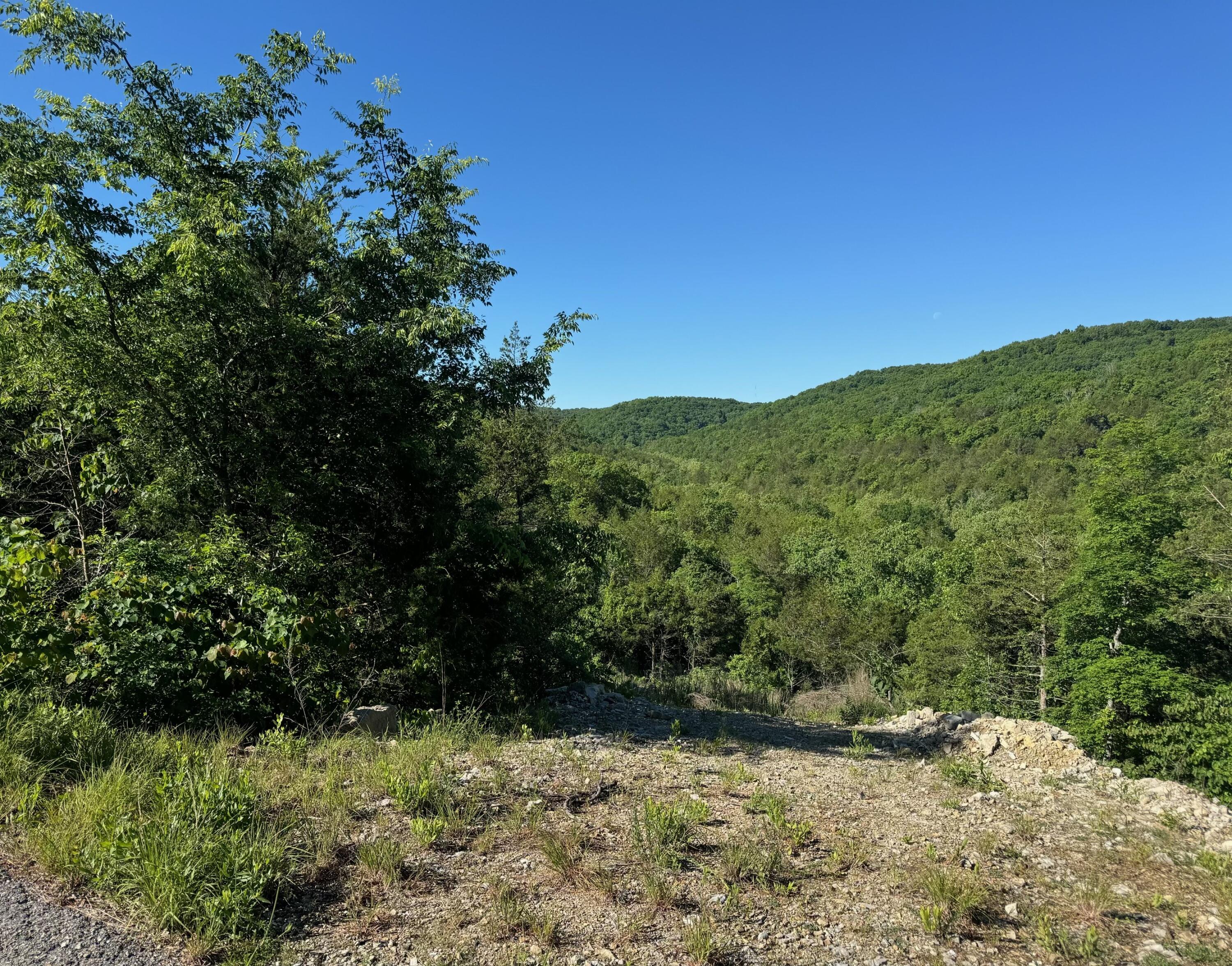 236 Timber Wolf Rd #Lot 9 1