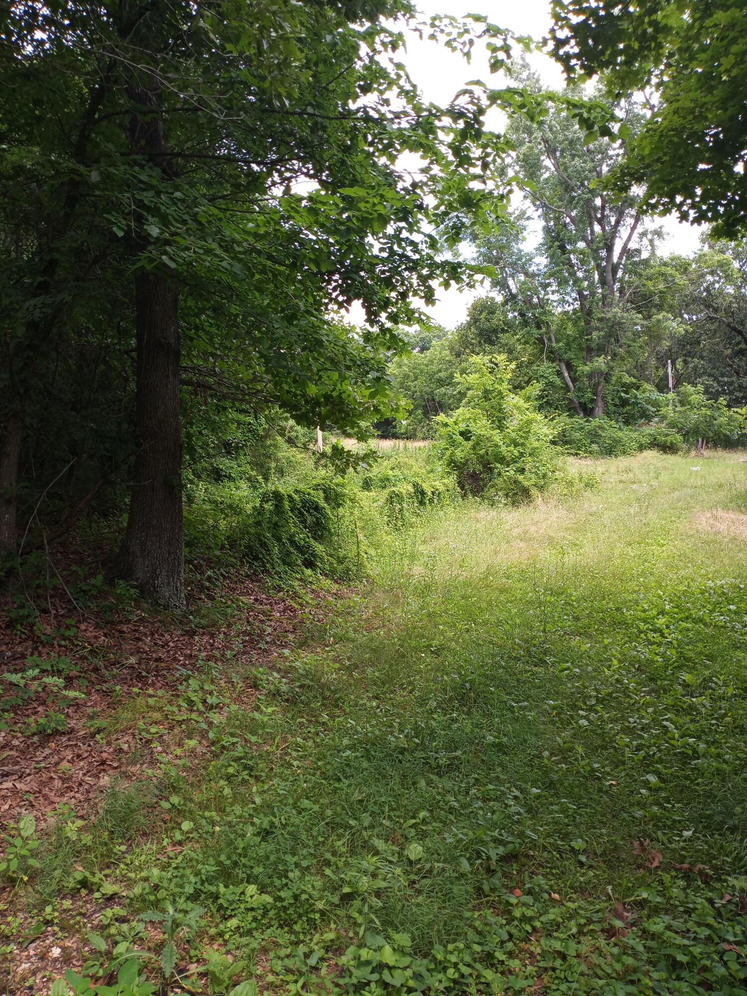 15734 Farm Road 2140 1