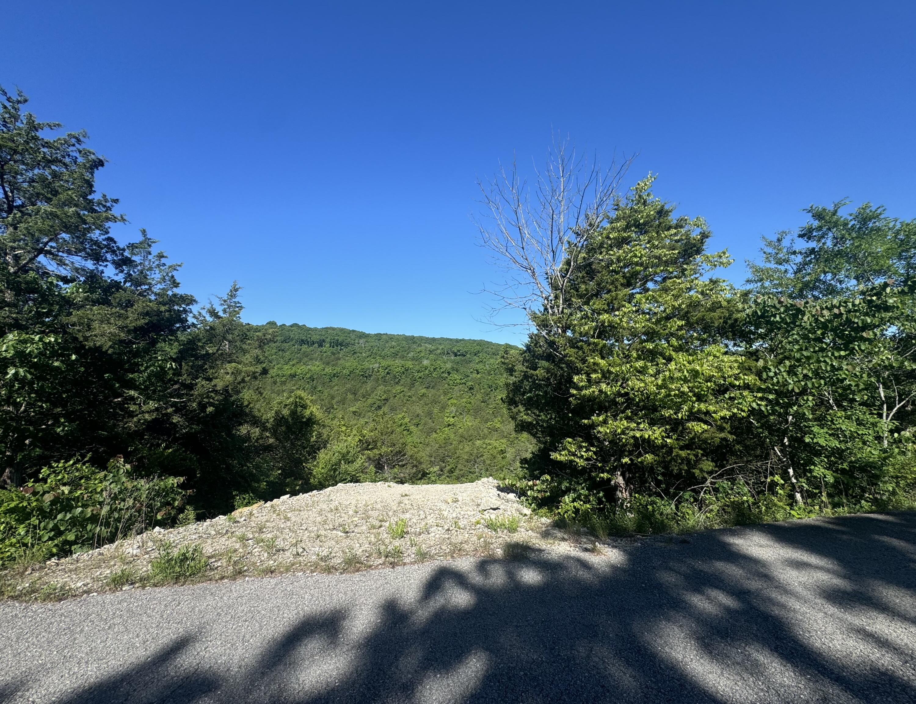 280 Timber Wolf #Lot 10 1
