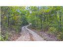 80+/-Acres Proctor 1